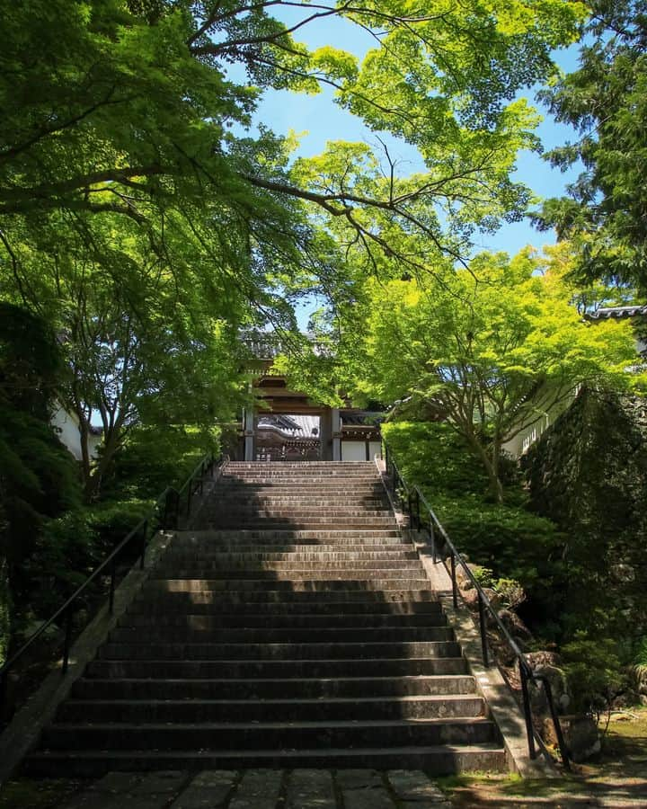 和みわかやまさんのインスタグラム写真 - (和みわかやまInstagram)「. 白崎海洋公園などが人気の由良町にある、興国寺。境内にある天狗堂には、約2.5mの巨大なお面が飾られています👺  📷：@yumi_chan0920 📍：有田・日高エリア 由良町  #グッドトリップ和歌山 投稿キャンペーン優秀賞からのリポストです😉 . . . #和歌山 #和歌山観光 #和歌山旅行 #わかやま #和みわかやま #wakayama #wakayamajapan #wakayamatrip #wakayamatravel #nagomi_wakayama #wakayamagram #天狗 #興国寺 #由良町 #新緑 #お寺巡り #temple #shrine #tengu #summerinjapan #旅行 #国内旅行 #旅行好きな人と繋がりたい #観光 #travel #trip #travelgram #japan #travelphotography」7月14日 17時00分 - nagomi_wakayama_tourism