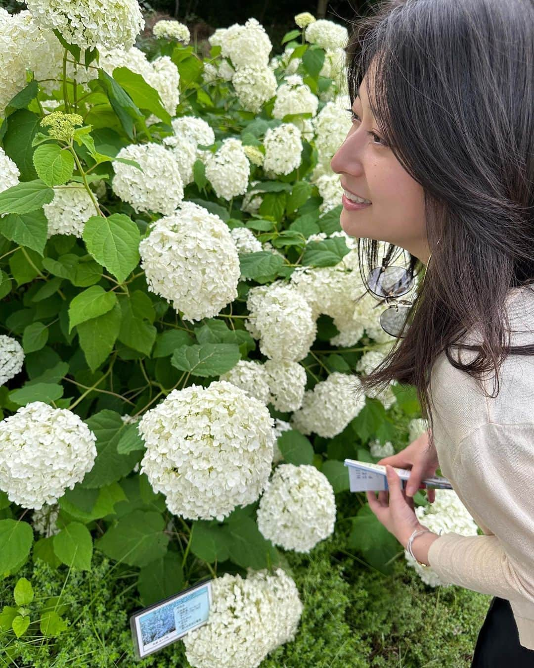 後藤郁さんのインスタグラム写真 - (後藤郁Instagram)「サングラス外した瞬間眩しさで、涙目になってる写真の続きです🥹  最近の太陽光はすさまじいよ...  ちなみにお外出る時は日焼け止めをしっかり塗っているのですが、唯一隠せない手の甲だけ、絶賛焼けてます。一層涙目になっちゃうわ🥹  #植物 #涙目 #かおるの目が開かないシリーズ」7月14日 17時14分 - kaoru_goto.official