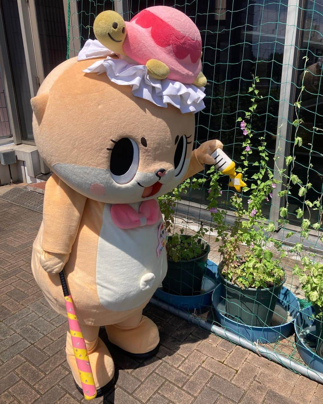 ちぃたん☆のインスタグラム