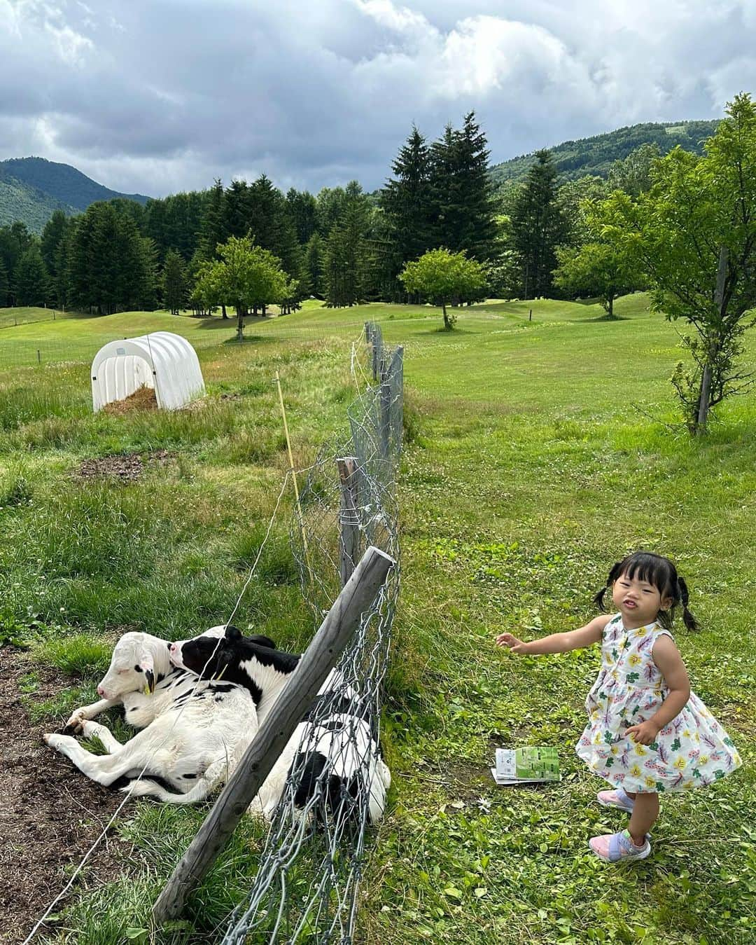 ユン・ソイさんのインスタグラム写真 - (ユン・ソイInstagram)「비올까봐 걱정했던 여행..날씨요정ㅋㅋ  덕분에 클럽메드에서 버스타고 호시노로 구경을~ 오늘 파란하늘에 맑은 구름!!  카트도 타보고 농장에서 소들이랑 말들이랑~ 잊지못할 여행입니당~^^ #일본#토마무#japan#japantravel#tomamu#여행스타그램#여행에미치다#일상」7月14日 17時36分 - yoonsoy