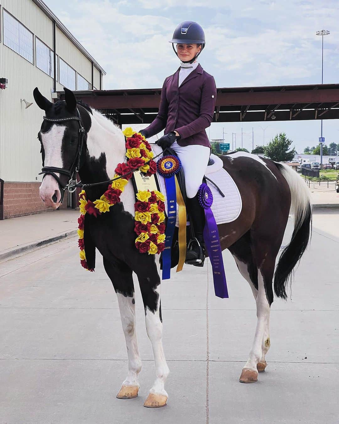 ブレンダン・フェアのインスタグラム：「So @abq.equestrian is a National Champion in Level 2 Dressage. She’s pretty good at this horseplay. #AHA MidSummer Nationals」