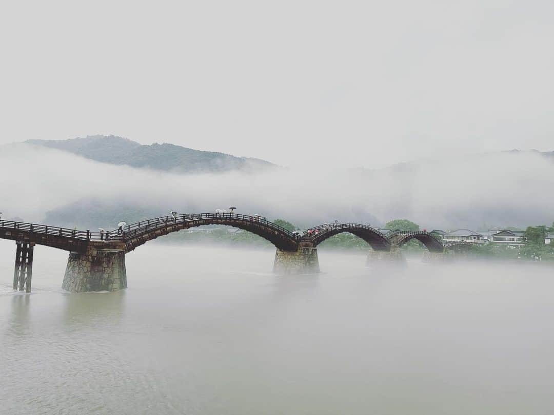 馬場俊英のインスタグラム：「岩国の錦帯橋というところに出かけました。あいにくの雨でしたがなんとも幻想的な世界が展開。びしょ濡れではありましたが「橋を渡り戻って来る」ただそれだけで納得させられちゃいます。」