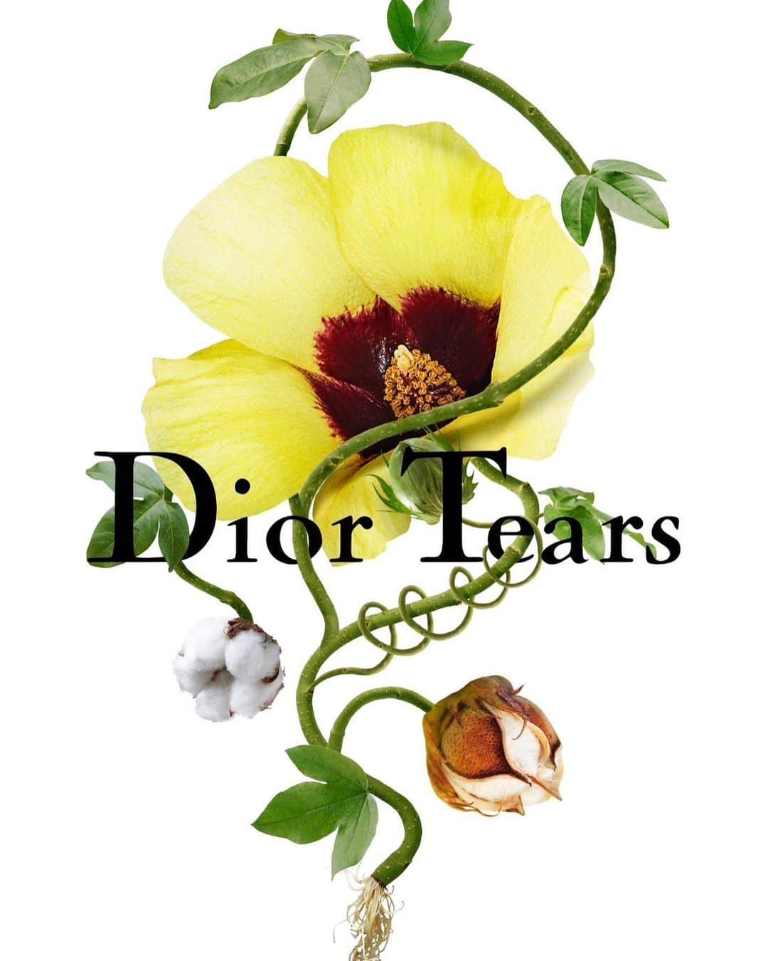 椎木俊介さんのインスタグラム写真 - (椎木俊介Instagram)「DIOR TEARS  You can get special digi-bouquets only for Dior Tears pop-up! created by our team @amfc_metaflorist  Dior Tears Tokyo pop-up  Location : 6-35-6, Jingumae, Shibuya-ku, Tokyo Date : 12-30 July, 2023  Time : 11:00-20:00  @dior #azumamakoto  #amkk #dior #diortears #amfcmetaflorist #tokyo」7月14日 9時27分 - shiinokishunsuke