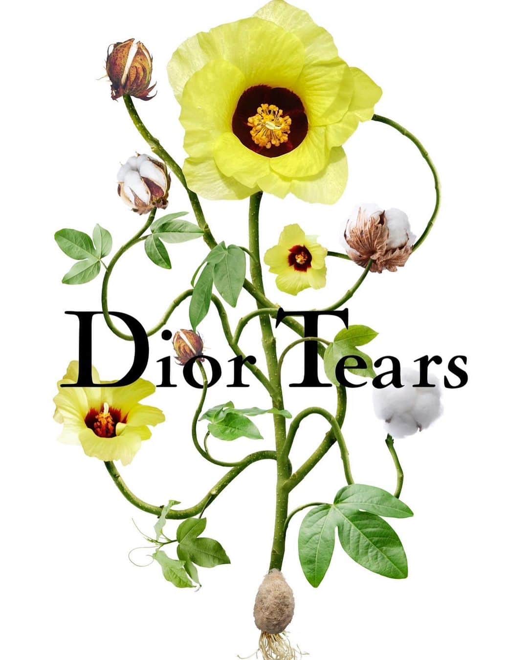 椎木俊介のインスタグラム：「DIOR TEARS  You can get special digi-bouquets only for Dior Tears pop-up! created by our team @amfc_metaflorist  Dior Tears Tokyo pop-up  Location : 6-35-6, Jingumae, Shibuya-ku, Tokyo Date : 12-30 July, 2023  Time : 11:00-20:00  @dior #azumamakoto  #amkk #dior #diortears #amfcmetaflorist #tokyo」