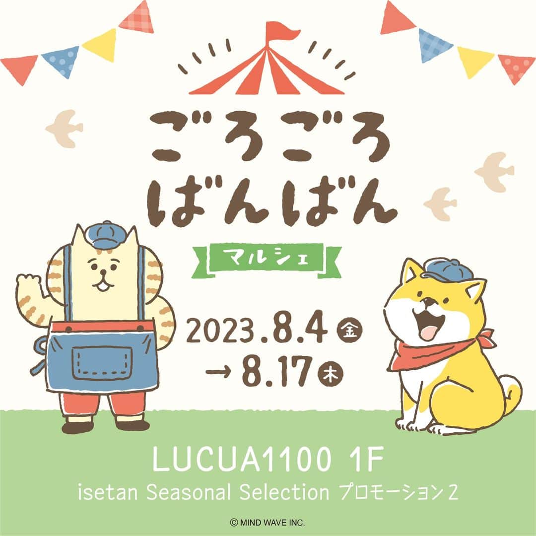 オオゴシヤステルのインスタグラム