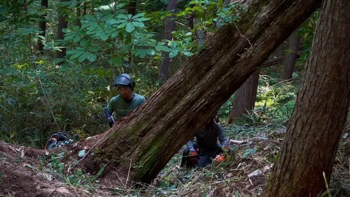 河野真也のインスタグラム：「「サッポロの⛰️サッポロの🌲サッポロの👫」  大きな音が出ます。 ６分半の長い動画ですが、どうしてもすべて見てもらいたいのでそのまま投稿することにしました。  イベントの時は、たくさんの方がいて、安全面を考えてニレの木ではなく、道づくりの為にカラマツを切りました。 だから、参加して下さった皆さんもこの動画をぜひご覧下さい。  離れた場所から手持ちでズームで撮っているので、ちょっとした揺れがありますが、その揺れは僕の緊張でもあるので一緒に感じてもらえれば、と。  山の人たち @shigeakiadachi  @somaya__guy  @non_minori   作り手の人たち @kounomeimokuten  @woodlink_sapporo_n1e11  @tetsujin  @chiemokushop   #北海道 #札幌 #ニレ #にれの木  #木こり #森林作業道 #林業 #木の家具  #木の器 #北海道愛がとまらない #hokkaido #sapporo」