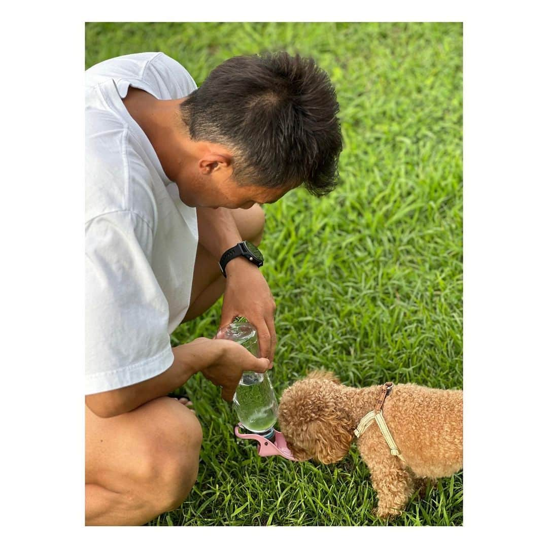 阿部芳美さんのインスタグラム写真 - (阿部芳美Instagram)「今週は夏休みを頂いています🌻🍉  香川県の美味しいご飯をいっぱい食べ、 温暖な気候に癒されています〜🫠✨  休みは、 近所の温泉に行くか…♨️ 公園に行ってむぎと走るか…🐕 夫とバドミントンするか…🏸 ご飯を食べるか…という、 ユルユルな時間を過ごしているため、 SNSに載せる写真がない！！🤣笑  と思っていたタイミングで 西日本放送の中條アナとランチに行けました…🍚🍴 構ってくれてありがとうかなちゃん🥹🙏  昨日の木曜中継は、新人アナのWナカガワが担当してくれました🎤 本当にありがとうーー☺️🧡  週明けからはまたバリバリ働くぞ〜〜🏋️‍♀️🔥  #リフレッシュ #夏休み」7月14日 10時51分 - yoshimi_abe0410