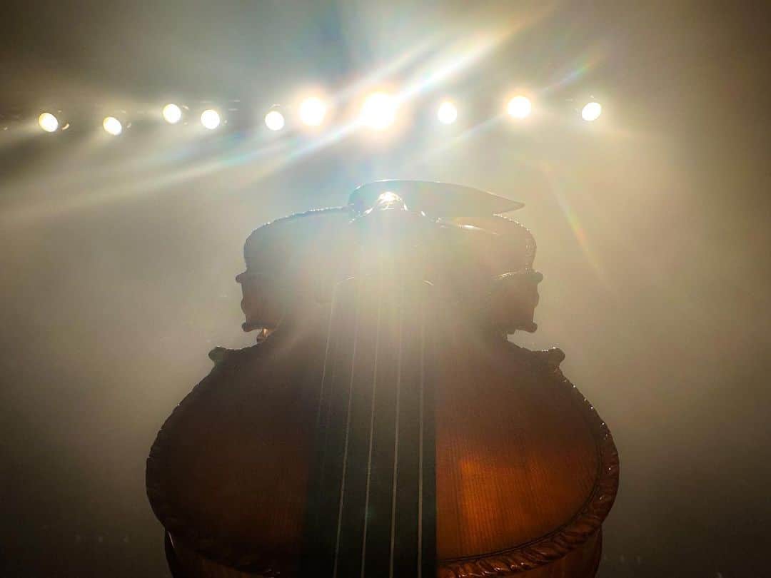AYASAさんのインスタグラム写真 - (AYASAInstagram)「🎻 めちゃんこ強そうに撮れた我が相棒👑 ・ ・ #山本彩アンドツアー  #zeppdivercity  #Ayasa #バヨリン弾き #violinist #5弦バイオリン #gliga」7月14日 17時49分 - ayasa_doya