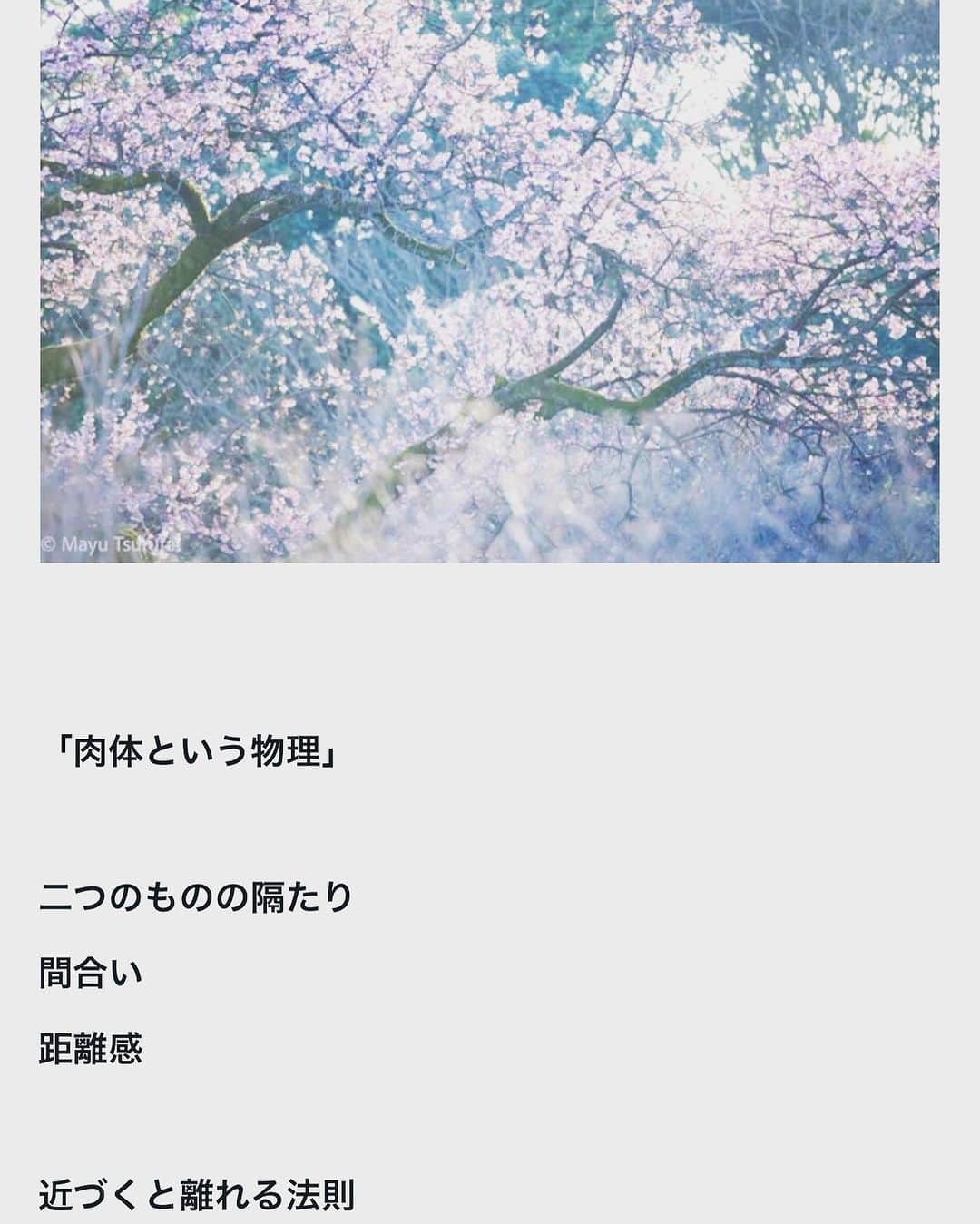 鶴田真由さんのインスタグラム写真 - (鶴田真由Instagram)「noteアップしました。 よかったら覗いてみてください。  https://note.com/mayutsuruta/n/n8e321de6d9e8」7月14日 17時52分 - mayutsuruta