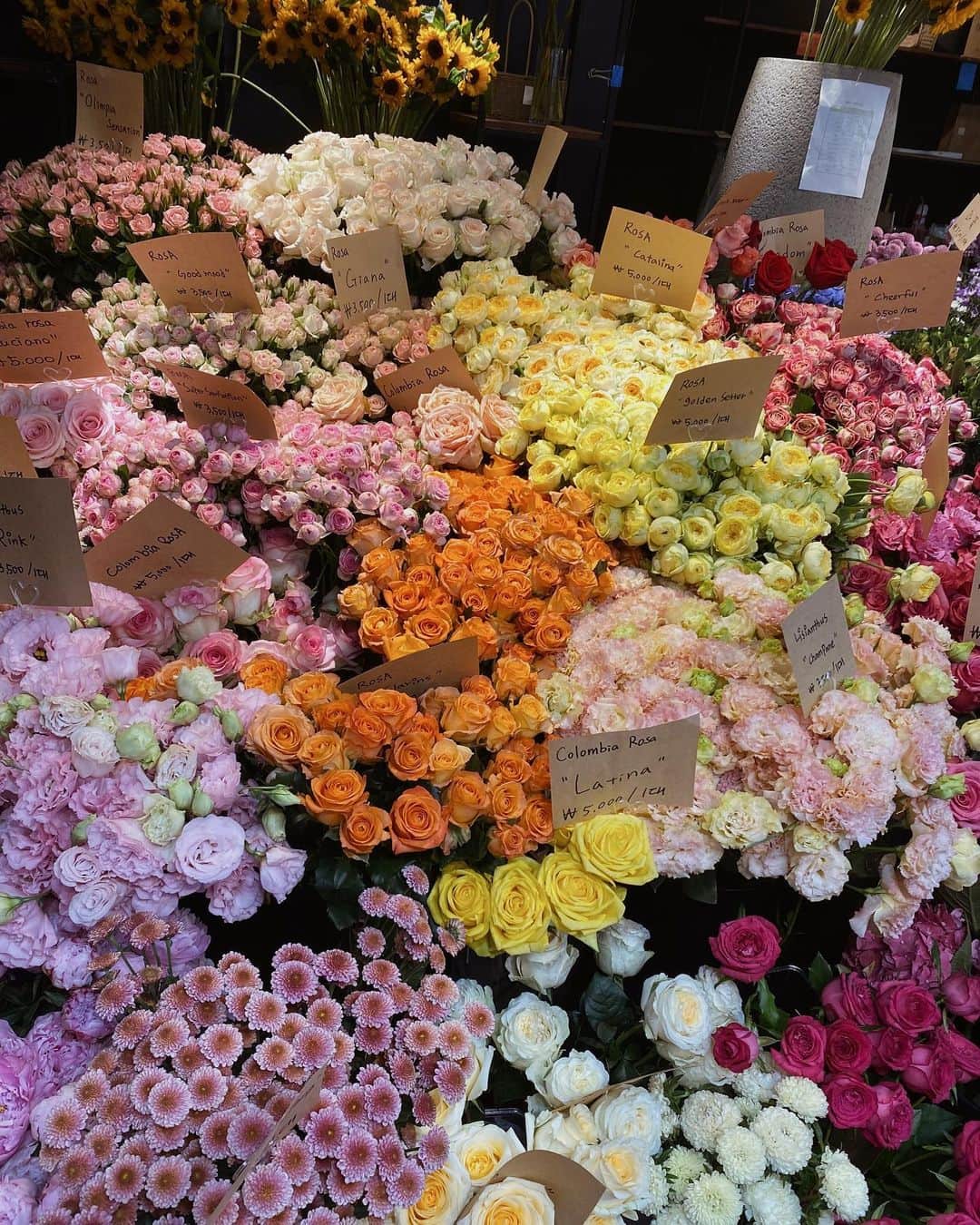 桃瀬りんかさんのインスタグラム写真 - (桃瀬りんかInstagram)「・ 韓国のお花を日常的に渡す文化が好き🫶🏻💐 街中で男の人が花束持って歩いてたり カップルが花束を持って歩いてるの観ると ほっこりする☺️💗 ・ ・ 韓国のお花屋さんに並んでるお花も カラフルで観てて楽しいから好きなの🌷🌼🌸✨ ・ ・ ・」7月14日 13時42分 - momose_rinka
