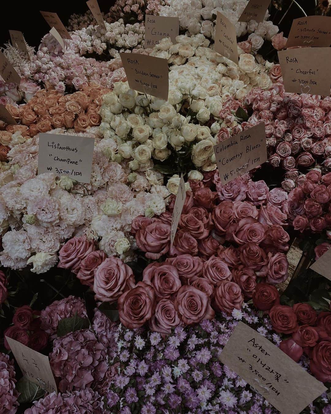 桃瀬りんかのインスタグラム：「・ 韓国のお花を日常的に渡す文化が好き🫶🏻💐 街中で男の人が花束持って歩いてたり カップルが花束を持って歩いてるの観ると ほっこりする☺️💗 ・ ・ 韓国のお花屋さんに並んでるお花も カラフルで観てて楽しいから好きなの🌷🌼🌸✨ ・ ・ ・」