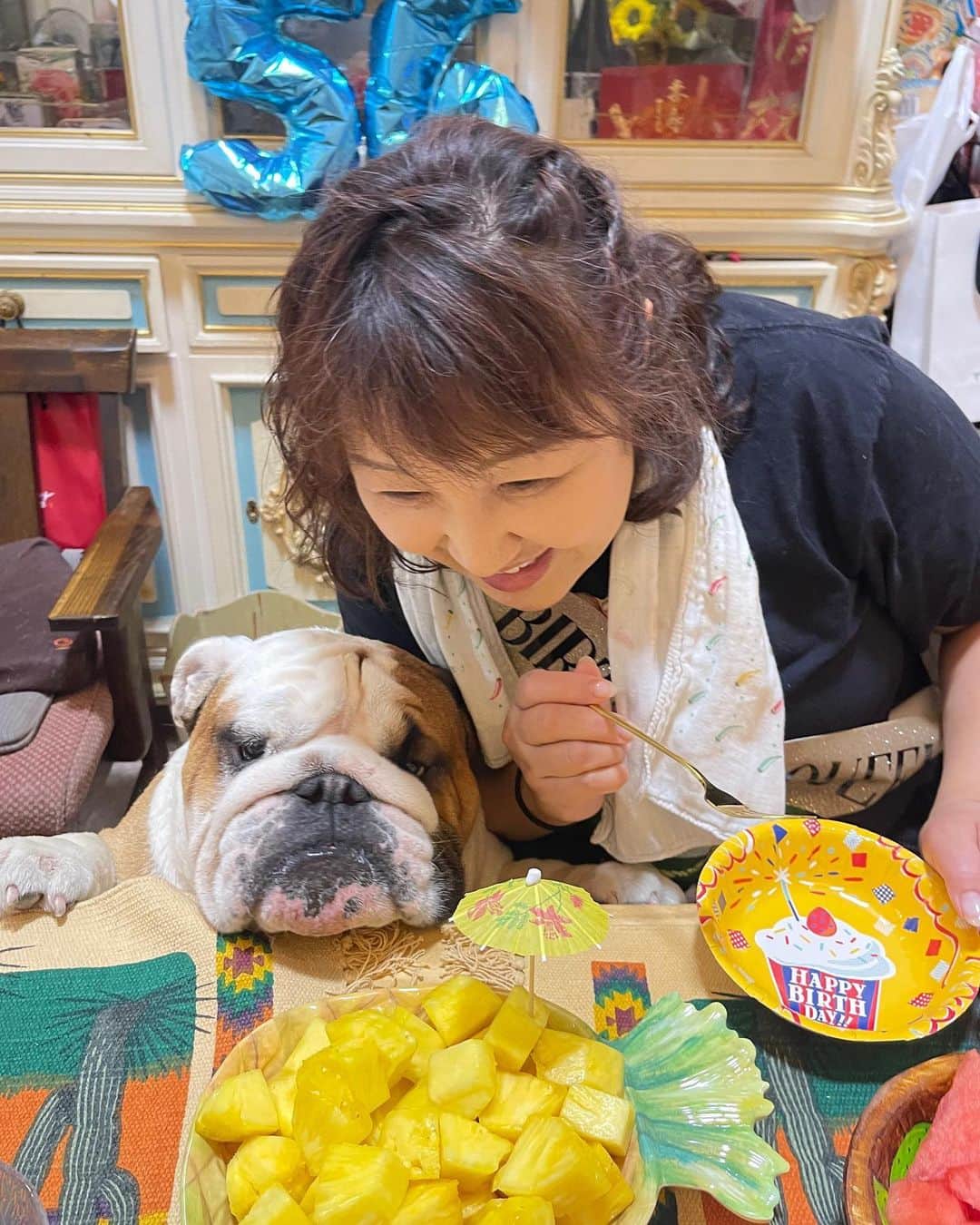 北斗晶さんのインスタグラム写真 - (北斗晶Instagram)「ちゃっかりでんでん🐶  チューのプレゼントを有難う💋  ごますってフルーツをもらいたいだけだろうけど😅  #愛犬  #可愛い仕草  #でんでん  #誕生日  #ずっと側にいてね  @corazon_hokuto  @tuna_jpn」7月14日 13時49分 - hokutoakira_official