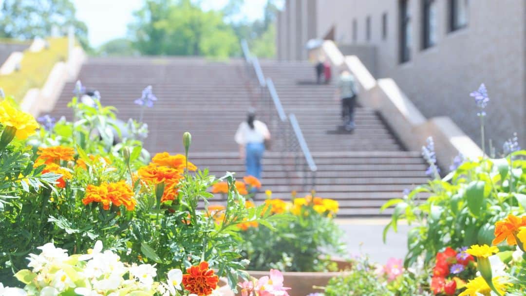 法政大学さんのインスタグラム写真 - (法政大学Instagram)「（@hosei_university）毎日暑いですね～。#多摩キャンパス のいたるところにかわいいお花🌼 そんな #お花 を見て少しでも癒されますように🙏 写真は社会学部棟、現代福祉学部棟、ペデストリアンデッキ付近のお花です🐸 （ちなみに、総合棟の前のVブリッジに続く道をペデストリアンデッキって言います💡） お花はキャンパス内に他にもたくさんあるので、ぜひみなさんもお気に入りのお花見つけてみてくださいね～💕  明日からさらに暑くなるみたいですので、熱中症には気を付けてお過ごしください～。  #法政大学 #法政 #大学 #春から法政 #春から大学生 #受験生 #多摩 #キャンパスライフ #マリーゴールド #メランポジウム #花 #大学生活 #友達 #仲間 #授業 #HOSEI #hoseiuniversity #hosei #university #student #campuslife」7月14日 15時27分 - hosei_university