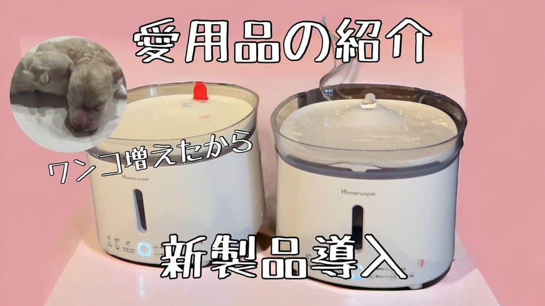 宇野樹のインスタグラム