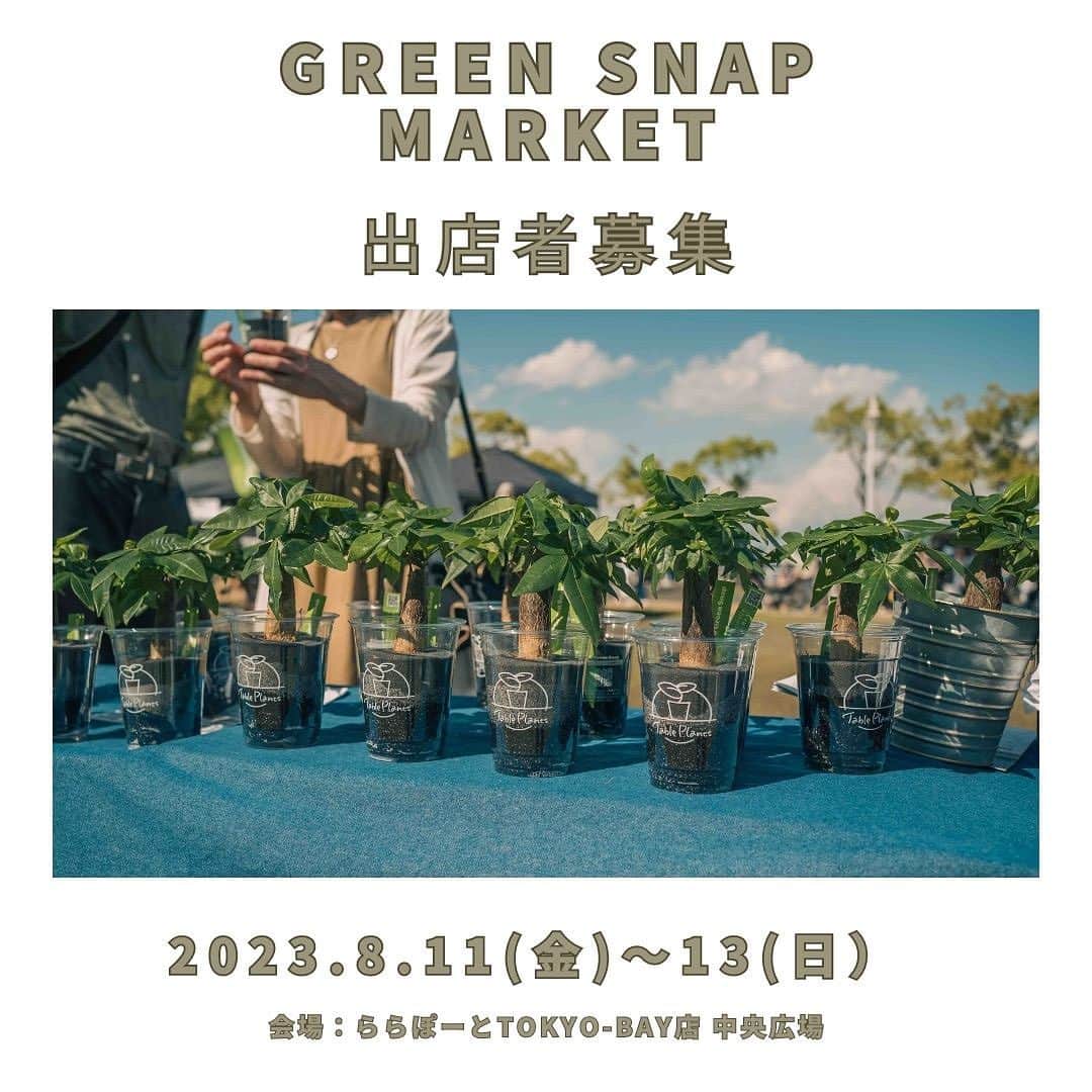 のインスタグラム：「【イベント出店者募集！】  今回のイベントは全国屈指の規模を誇る 大型SCららぽーとTOKYO-BAY店での植物イベントとなります。  GreenSnapSTOREで人気の植物の販売やワークショップを行います！   その中でも特に人通りの多い中央広場イベントスペースでの開催です。   一緒にイベントを盛り上げていただける出店者様を募集します。  申込はハイライトからお願いします。  募集〆切：７月19日(水) ※多数応募があった場合、期日前に締め切る可能性あり」