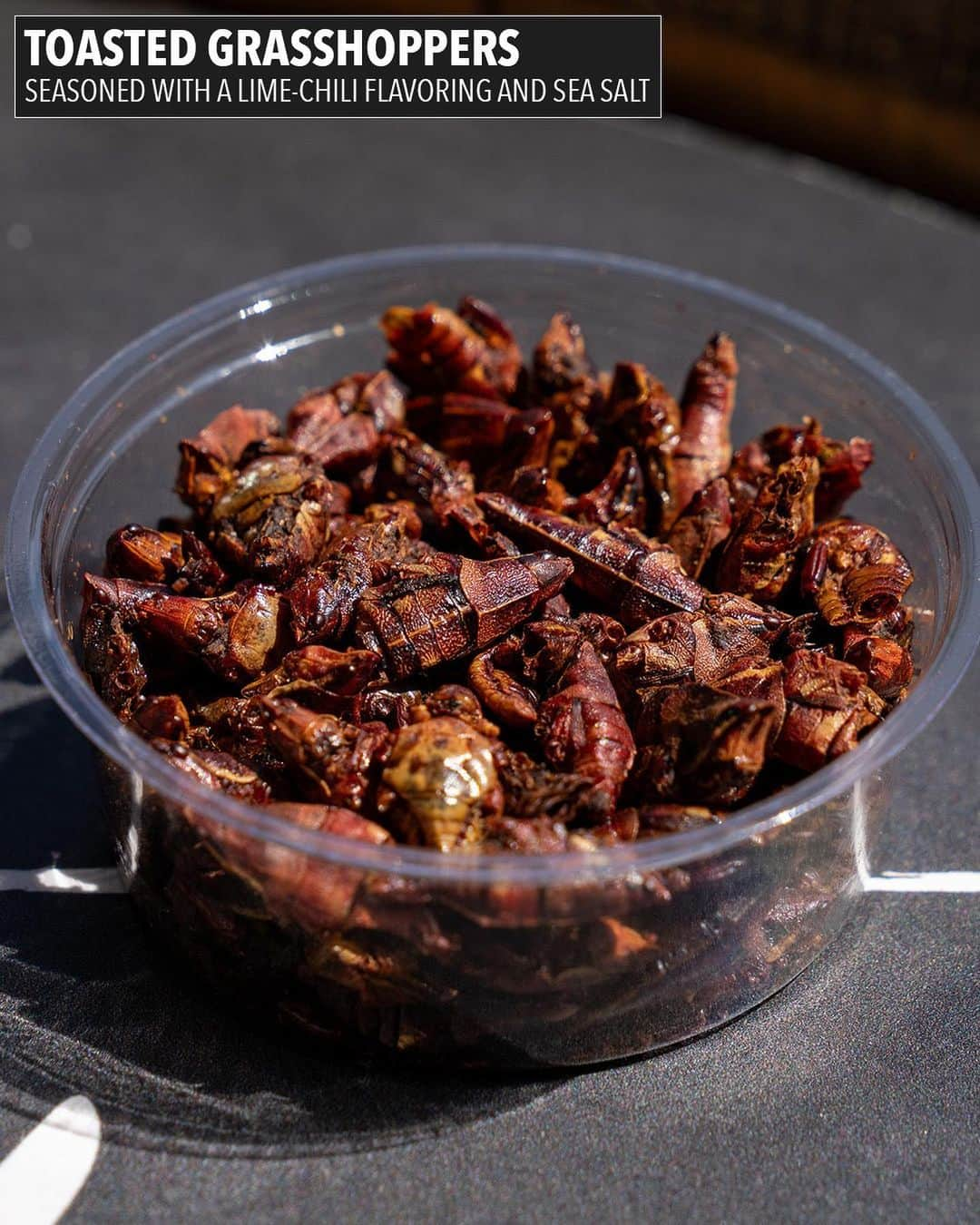 MLBさんのインスタグラム写真 - (MLBInstagram)「Would you try toasted grasshoppers? 🤔 @simplyaj10 takes us on a tour of ballpark food from All-Star 😂➡️  #AllStar #Mariners #MLB #Baseball」7月15日 3時04分 - mlb