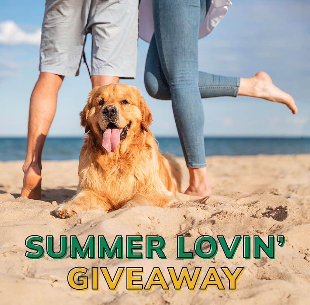 DogsOf Instagramのインスタグラム：「Have some fun in the sun with our SUMMER LOVIN’ GIVEAWAY! You could win over $2,000 in prizes for you + your dog to make the rest of this summer a blast 😎🐕   Link in bio for the chance to win these pawsome prizes:   ☀️ $500 @zestypaws gift card ☀️ TWO @embarkvet Breed + Health Tests ☀️ $500 @diggspet gift card ☀️ $500 of @shutterfly Pet Products ☀️ YOUR dog featured on @dogsofinstagram   Enter to win at our link in bio! ⛱️ .  .  .  #dogsofinstagram #summerlovin #summerloving #dogsofsummer #dogdaysofsummer #summerdogs #summerpups」