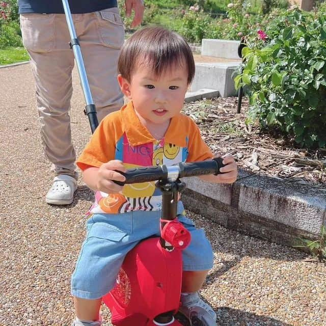 microscooters_japanのインスタグラム：「キックボードデビューしたよ🛴 ・ ・ ・ おつそのみんっ♡ ・ ・ ・ キックボードが 🎀運動神経の発達 🎀乗るだけだバランス感覚up 🎀幼児期の発育をサポート って事で療育でまさしく 運動面の練習してるあーくんに ピッタリだなと最近 【ミニ トゥー ゴー デラックス  　　　　　　　　　　　プラス】 をお迎えしましたあ🩷🙋‍♀️ ・ ・ ・ これねほんと良かった♡ 成長に合わせて 3wayで変形するから、 1.5歳から 20kgまで使えるの😳 ・ ・ ・ あーくんみたいにちょっとまだ バランス感覚が悪い子は アシストバーを取り付けて安全に ・ ・ ・ サドルを外したらキックボード🛴に変身するよ🩷 長く使える所もいいなあと😍😍 ・ ・ ・ 走るとタイヤがLEDでピカピカ 光るから他のお友達も大興奮 してましたっ😂😂 ・ ・ ・ あとね、椅子の下の部分が 収納になってるのでおもちゃとか 入れられてとても便利😌 ・ ・ ・ 怖がりな性格だから乗ってくれ ないかなあと思ったけど パパが後ろで押してくれてるから 安心して楽しそうにしてた😍・ ・ これから少しずつ練習しようね💕 ・ ・ ・ *…*…*…*…*…*…*…*…*…*…*…*…*…*…*…*…..  @microscooters_japan   💐 ミニ トゥー ゴー デラックス  　　　　　　　　　　　プラス  3輪なので一歳4ヶ月から〜♡  お色はレッドとミント💕☺️ 悩んだけどレッドにした *…*…*…*…*…*…*…*…*…*…*…*…*…*…*…*…..  お誕生日プレゼント🎁や クリスマスプレゼント、お孫さんへの プレゼントに最適だと思います❤️🎀 ・ ・ ・ ・ 大きな段ボールで届いて 自分のとわかるとあーくんも 玄関でナニコレ？わーおって 喜んでましたっ😍 ・ ・ ・ ・ ・ #マイクロスクーター #マイクロキックボード #マイクロミニ #マイクロミニ折りたたみ #ミニ折りたたみ #キックボード #2歳児 #ミニトゥーゴーデラックスプラス #プレゼントにおすすめ #プレゼント選び  #誕生日プレゼント #三輪車 #乗用玩具 #キックボード #子連れお出かけ #子連れおでかけ #子どものいる生活  #外遊び #公園遊び #ベビーカー代用 #週末お出かけ #週末何する #2歳の誕生日プレゼント」