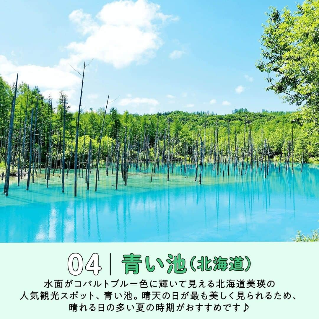 阪急交通社さんのインスタグラム写真 - (阪急交通社Instagram)「【一度は見たい！夏の絶景5選】 旅行会社社員が厳選の旅行情報をお届け！ 今回は、一度は見たい！夏の絶景のご紹介です！  －－－－－－－－－－－－－－－  【明野のひまわり畑（山梨県）】 日本一日照時間が長いと言われる山梨県北杜市の人気スポット！🌞 約60万本のひまわりが咲き誇る7/22(土)～8/20(日)までは 北杜市明野サンフラワーフェスが開催されます！🌻 見渡す限り広がる黄色い世界と南アルプスの山々との 美しいコラボレーションが見られるのが魅力です♪ 📍アクセス：山梨県北杜市明野町浅尾5664  【長岡まつり大花火大会（新潟県）】 秋田の大曲の花火、茨城の土浦の花火に並び、 日本三大花火大会の一つと言われている「長岡まつり大花火大会」🎆 1945年の長岡空襲からの復興祈願としてスタートし、追悼の意や平和への思いが強く込められています✨ 大花火大会は毎年8/2と8/3に開催！ 直径約650mもの大輪の華となる「正三尺玉」や打上げ幅約2㎞に及ぶ「復興祈願花火フェニックス」など 他ではなかなか見られない夏の絶景をお楽しみください♪ 📍アクセス：新潟県長岡市 長生橋下流 信濃川河川敷  【ヒリゾ浜（静岡県）】 近年SNSを中心に注目を集めているのが、南伊豆に位置する「ヒリゾ浜」👀 伊豆半島の最南端の海岸にあり、夏限定の船でしか行くことの出来ない秘境感たっぷりのビーチです🚤 透明度は全国トップレベル！手つかずの自然が残り、黒潮の影響を受けることからサンゴや回遊魚も多くみられ、 シュノーケリングを楽しむのにもぴったりです♪✨ （船の運航は7/1(土)～10/1(日)までの予定※各自にてお確かめください） 📍アクセス：静岡県賀茂郡南伊豆町中木  【青い池（北海道）】 北海道美瑛にある人気観光スポット「青い池」。 アルミニウムや石灰成分を含む湧水と美瑛川の水が合わさって目に見えない微粒子が生成され、 それが太陽の光を散乱することで不思議な池の青さを生み出しています✨ 四季折々変化する幻想的な景色を楽しめるのが魅力の一つ！ その中でも夏はベストシーズン！ 晴天が続き日照時間も長いため、ひと際美しいライトブルーの水面を楽しめます♪🌞 📍アクセス：北海道上川郡美瑛町白金  【阿智村（長野県）】 澄んだ空気と豊かな自然に囲まれた長野県阿智村。 環境省が「星が最も輝いて見える場所」に認定した、日本一星空が綺麗な村と言われています🌌 標高が高く、真夏日でも夜になると涼しく快適なので夏のドライブにぴったり🚗 季節を問わず、「天空の楽園 星空ナイトツアー」も開催されています！ （一部除外期間がございますので各自にてお調べください。） 📍アクセス：長野県下伊那郡阿智村智里３７３１−４（天空の楽園ナイトツアー会場）  夏のご旅行の参考になりましたか？ 投稿が良いなと思ったら、保存＆いいね＆フォローをよろしくお願いします♪  ※内容は投稿日時時点の情報です。状況により変更となる可能性がございます。 ※過去に掲載した情報は、期限切れの場合がございます。  #阪急交通社 #夏 #夏休み #絶景 #夏の絶景 #明野 #ひまわり畑 #山梨県 #明野サンフラワーフェス #新潟県 #長岡花火大会 #長岡まつり #花火大会 #ヒリゾ浜 #伊豆 #海 #静岡県 #シュノーケリング #ビーチ #海水浴 #青い池 #美瑛 #北海道 #阿智村 #長野県 #星空 #夜空 #星空ナイトツアー #ドライブ #旅行」7月14日 18時00分 - hankyu_travel