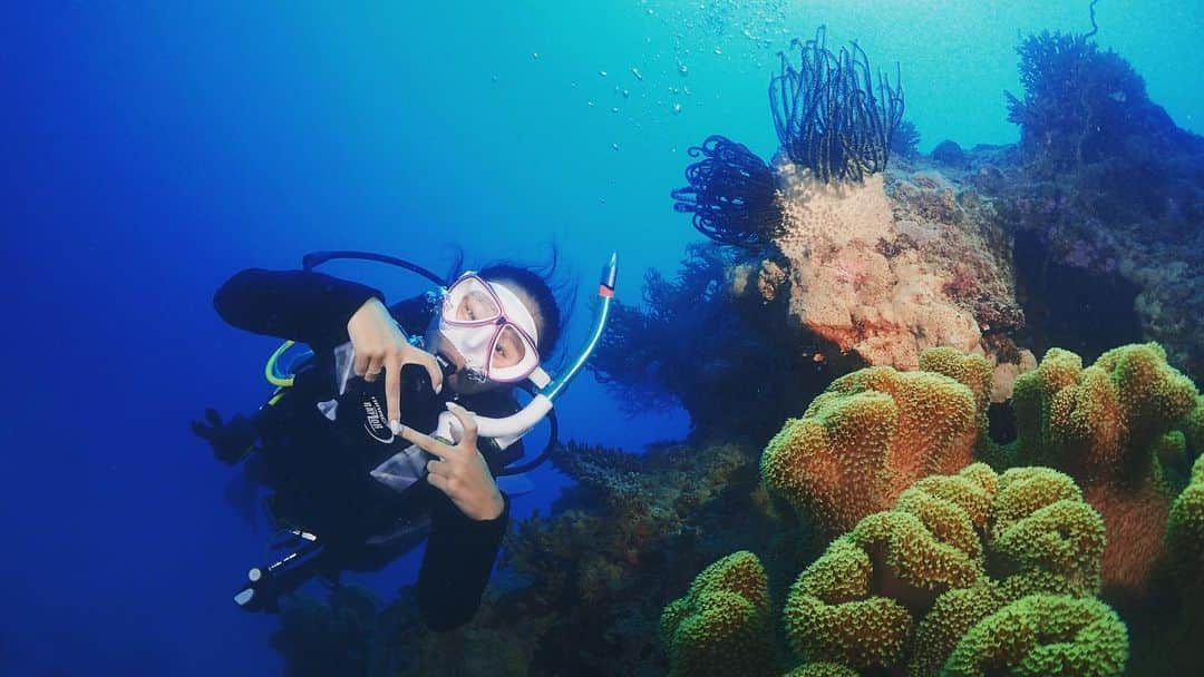 平田あいりのインスタグラム：「初めて一泊2日でダイビングしたー！🧜 ナイトダイブでサメ見た😳🦈リアルジョーンズみたいに船の下周遊してた💫あとあいりの好きな亀ちゃんは食事中と夜はすやすや寝ててスーパーキュートすぎた😍💓」