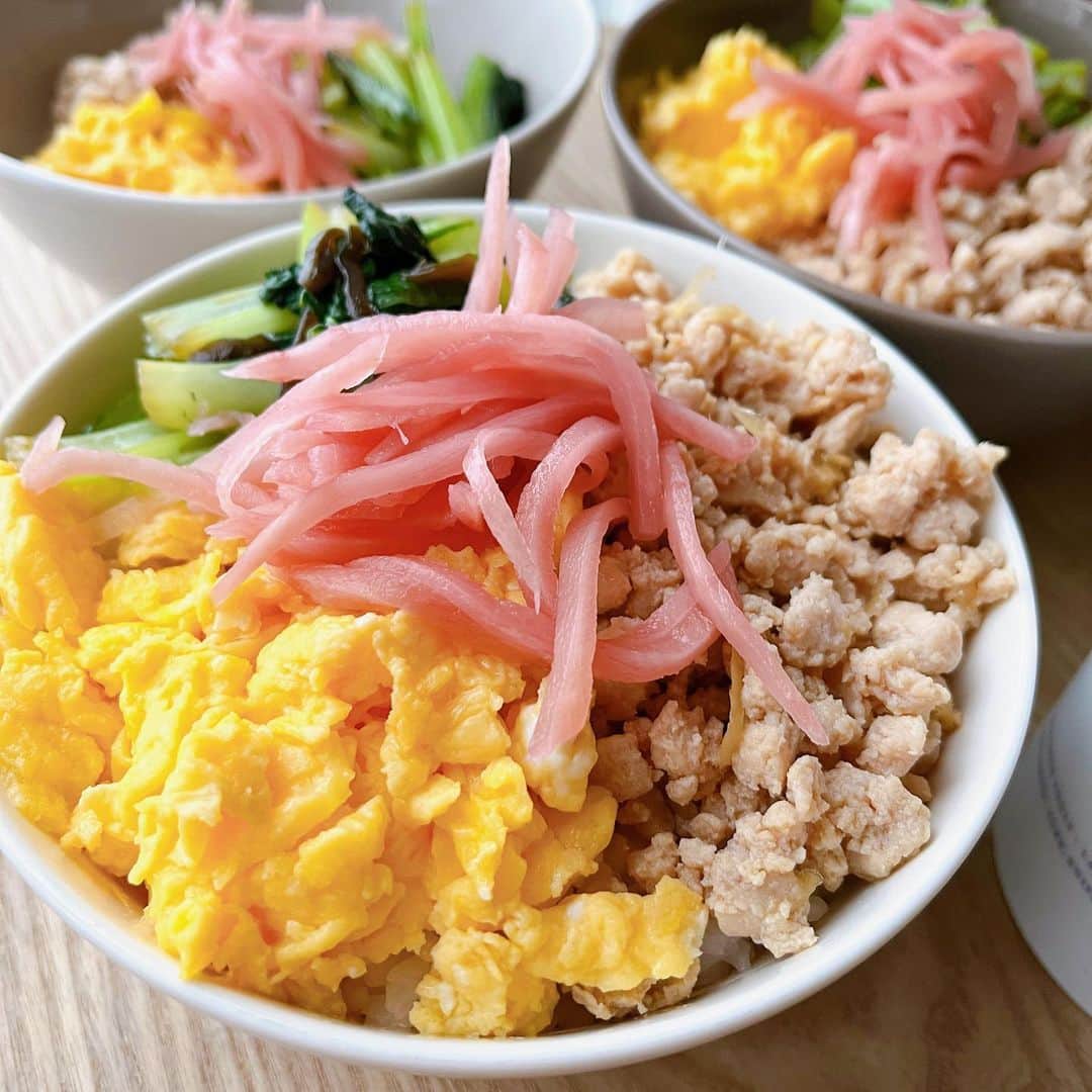 トテンのインスタグラム：「夕ごはん。もりもりそぼろ丼です。 今年仕込んだ紅生姜は、去年使い切れなかった分の梅酢だけ使って、 やっぱりちょっと足りなくて、うっすらピンクくらい😅  でも蜂蜜で甘味もつけたのもあって、子供達にも食べやすい、優しい味に仕上がりました。」