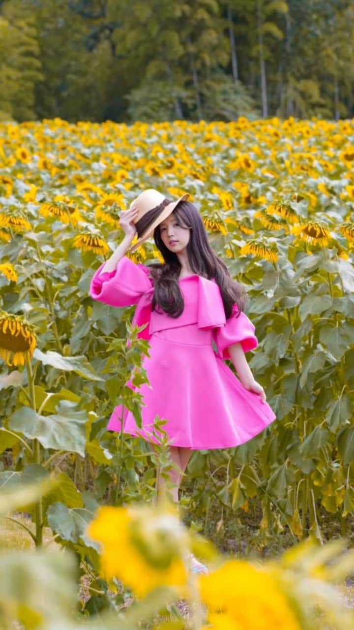 めいのインスタグラム：「My Sunflower 💛  夏の花  給我滿滿活力的太陽花  ・ ・ ・　 ・ ・ ・  —  #reels#日本#向日葵#寫真#portrait#사진#景色#ひまわり#커피#ポートレート#japanesegirl#beauty#japan#photo_jpn#写真部#섹시#photo#taiwan#フォロー#撮影#model#view#summer#写真集#follow#portraitsedition」