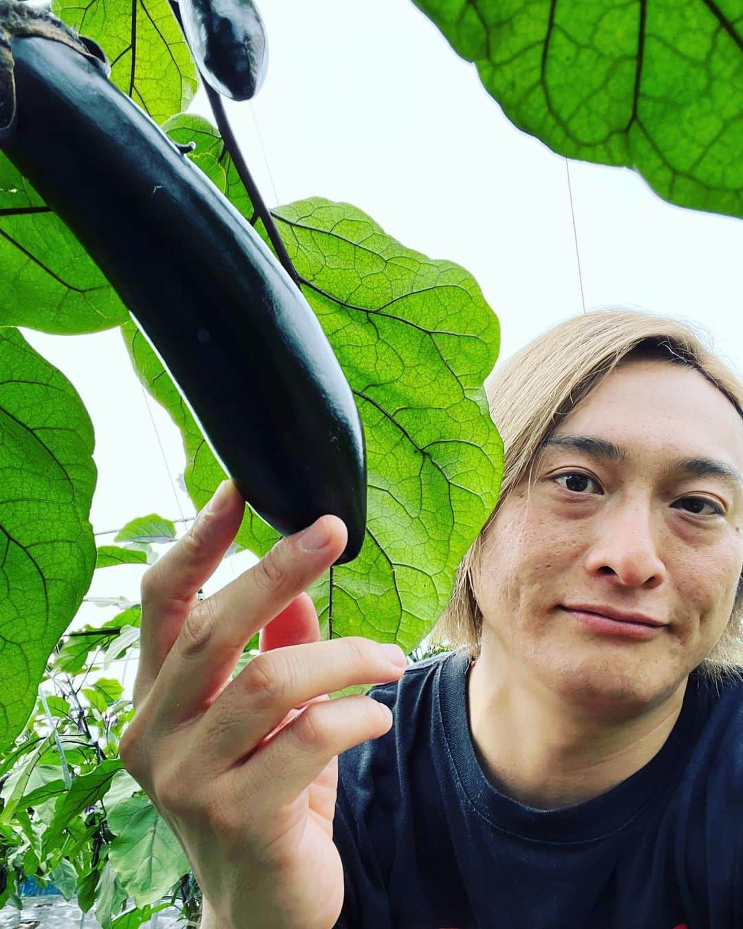 JP（ものまねタレント）さんのインスタグラム写真 - (JP（ものまねタレント）Instagram)「🍆て英語てなんて言うの？🍆  仕事のご依頼はインスタのDMでお問合せください。  Twitterアカウント→　#jpmaesaka Twitterアカウントポケモン→#jp_pkmn YouTubeチャンネル→#モノマネモンスターJP TikTok→#monomamejp #🍆 #ロケ #チャント #英語でナスは？ #ものまね代行世代 #ワイドナショー #JPさん #松本人志 #浜田雅功 #ダウンタウン #ものまね芸人 #松本人志ものまね #研音 #川島明ものまね #ラヴィット #滋賀芸人 #農業高校出身 #すべらない話 #IPPONグランプリ #ダウンタウンDX #酒のツマミになる話 #おはスタポケモン部 #ポケモン #しゃべくり007」7月14日 19時46分 - metamonjp