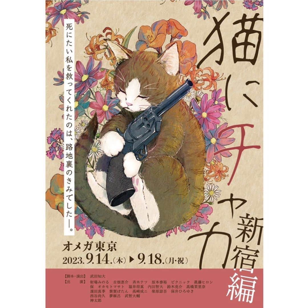 武田知大のインスタグラム：「ついにチケット発売開始致しました！！ 9月はお祭りでございます！！ ご予約はこちら quartet-online.net/ticket/0dwyqqt… お早めに～！！ #ネコチャカ #猫にチャカ」