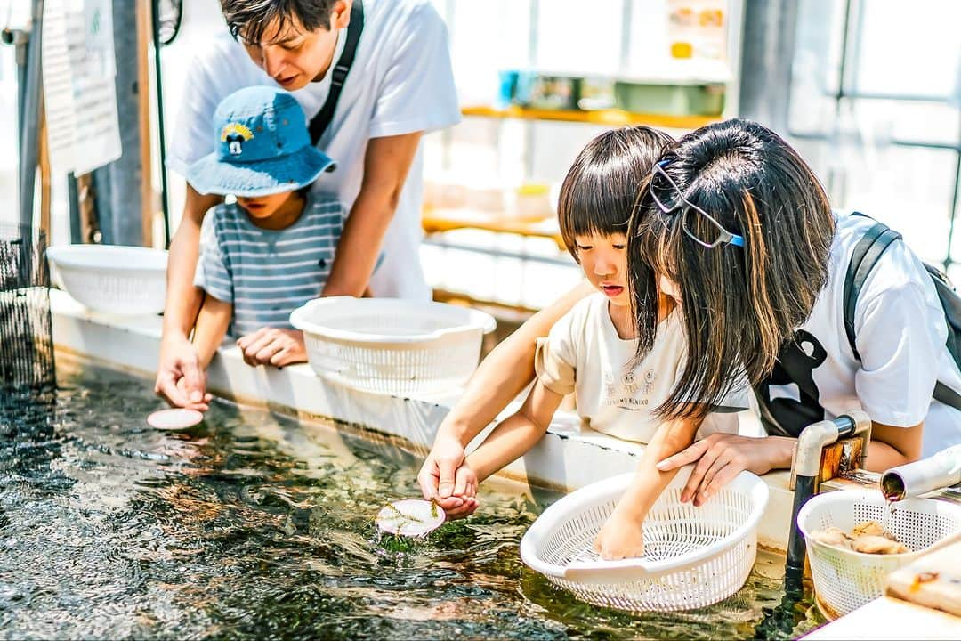 Be.okinawaさんのインスタグラム写真 - (Be.okinawaInstagram)「Experience the unique and popping texture of umibudo sea grapes!   Umibudo, sea grapes in English, is a type of seaweed and Okinawa's local delicacy🌊🍇 It is a very valuable ingredient as they are harvested by hand!   At Uminchi Sea Side Park, discover more interesting facts of umibudo and even harvest them yourself!🍦The umibudo soft serve is also a unique snack you can find there!  #japan #okinawa #visitokinawa #okinawajapan #discoverjapan #japantravel #okinawafood #okinawadelicacy #okinawalocaldelicacy #umibudo #seagrapes #okinawaumibudo」7月14日 20時00分 - visitokinawajapan