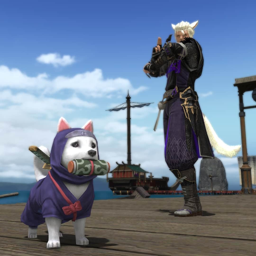 FINAL FANTASY XIVのインスタグラム：「Discover the way of the ninja alongside a furry friend! 📜🐕⁣ ⁣ 4️⃣ more days until Patch 6.45!⁣ ⁣ #FFXIV #FF14」