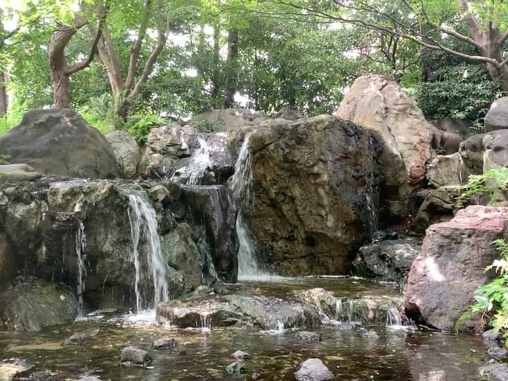 速水里彩のインスタグラム：「.  まさに都会のオアシス🌿リフレッシュ〜  #白鳥庭園 #日本庭園 #滝 #東屋 #ゆっくり散策」