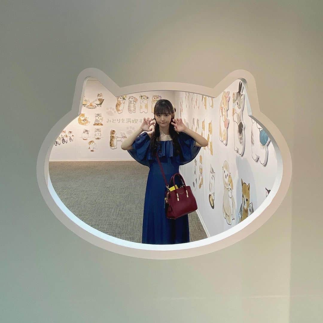 長南舞のインスタグラム：「にゃー🐱🐾  #mofusand #mofusand展 #猫」