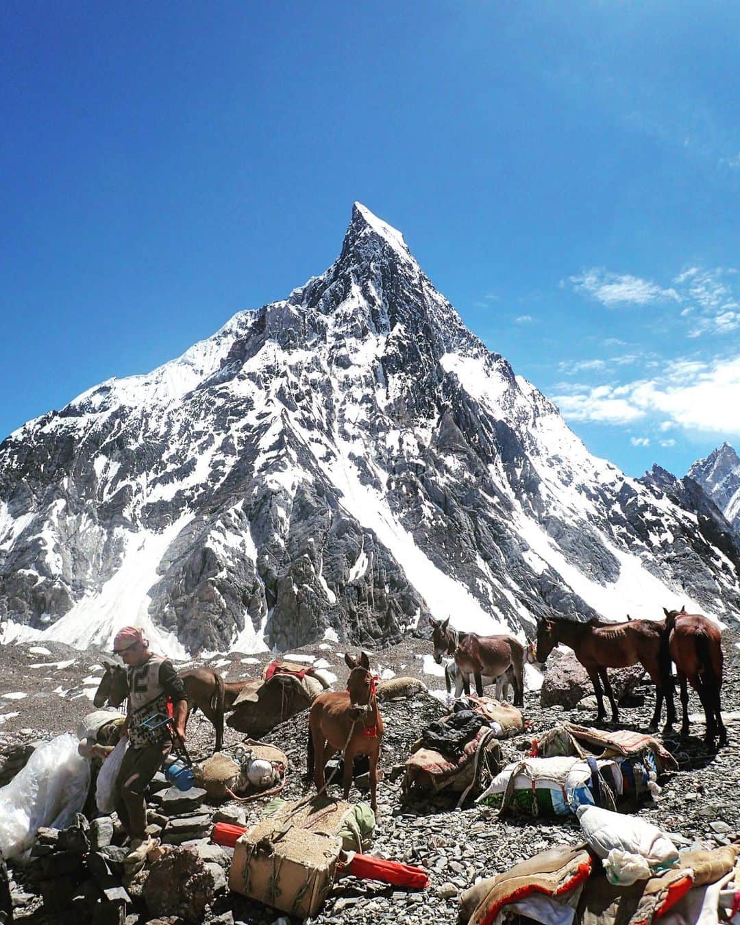石川直樹さんのインスタグラム写真 - (石川直樹Instagram)「#Concordia, #Pakistan. 本日、K2やブロードピーク、ガッシャブルム Ⅳに囲まれたコンコルディア（標高4585m）に到着しました。スカルドからここまで長かった…。ここがトレッカーの終着点である一方、登山者はここからがはじまりです。 ガッシャブルムⅣを正面に見て、左に進めばK2やブロードピーク、右に進めばガッシャブルム山群です。自分は2019年にガッシャブルムⅡ峰に登頂しており、今回は「ヒドゥンピーク」ことガッシャブルムI峰を目指しています。 今回でバルトロ氷河歩きは5往復目…もういくらなんでも最後にしたい。ネパールのトレッキングに比べると、負荷がデカすぎる…😭 . 1枚目の写真はコンコルディアから見たライラピーク。 . #Karacorum#Baltoro#glacier」7月14日 20時54分 - straightree8848