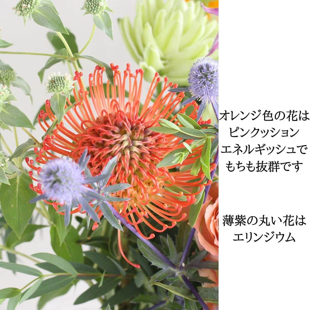 雑誌『花時間』さんのインスタグラム写真 - (雑誌『花時間』Instagram)「今日も暑かったですね💦　私は市場へお花の撮影に行き、大汗💦💦💦　  花時間（@hanajikan_magazine）です。  定期便とグリーンブーケの撮影に行ってきたんです。  いつもとは撮り方を変えてみました。  器に入っていると、ボリューム感がわかりやすくなるかもと。  どうですか？  暑くても、市場はお花の生気でいっぱい。写真で伝わるかな？？？  今週末は、相当な暑さになるそうなので、熱中症にどうぞお気をつけくださいね🍉  今日もお疲れさまでした。 明日も元気smile😊😊😊で頑張りましょう！ byピーターパン  お届けしたお花の内容を発表いたします🎉  ⭐️7／15（土）着のお花⭐️  【プチ】 カーネーション(ブラドミント) リンドウ（スウィートピンク） クレマチス(ローマ) エリンジウム(ブルーグリッター) エキナセア スモークグラス マウンテンミント セアノサス マリーサイモン実    【スタンダード】 バラ(バイアモーメント、オリエンタルキュリオーサ) ユリ(ノーブル) リンドウ（スウィートピンク） クレマチス(ローマ) トルコギキョウ エリンジウム(ブルーグリッター) エキナセア スモークグラス マウンテンミント ヒマワリ(サンリッチ) ヒメヒマワリ ユーカリ(バルビフォリア) セアノサス マリーサイモン実   【リュクス】 バラ（バイアモーメント、オリエンタルキュリオーサ、ラストナイトオンアース、エクレール) ユリ(ノーブルアイカ) リンドウ（スウィートピンク） ピンクッション(サクセッション) ヒマワリ(サンリッチ) ヒメヒマワリ クレマチス(ローマ) エキナセア(グリーンジュエルほか1種) スターチス マウンテンミント スモークグラス ドラセナ(ソング オブ インディア) ユーカリ(バルビフォリア) セアノサス マリーサイモン実   【グリーンブーケ】 アジサイ(アンティーク) カーネーション(ブラドミント) バラ(エクレール) ユリ（ノーブル） パイナップルリリー エキナセア（グリーンジュエル） ワックスフラワー（グリーン染め） リューカデンドロン（ゴールデンカップ） ビバーナム（コンパクタ） スモークグラス チョウジソウ  #花時間 #フラワーアレンジ #花の定期便 #花のサブスク #夏の花 #グリーンブーケ #緑のある暮らし  #花が好き #花が好きな人と繋がりたい #花を飾る #花を飾る生活 #花屋さんへ行こう」7月14日 21時01分 - hanajikan_magazine