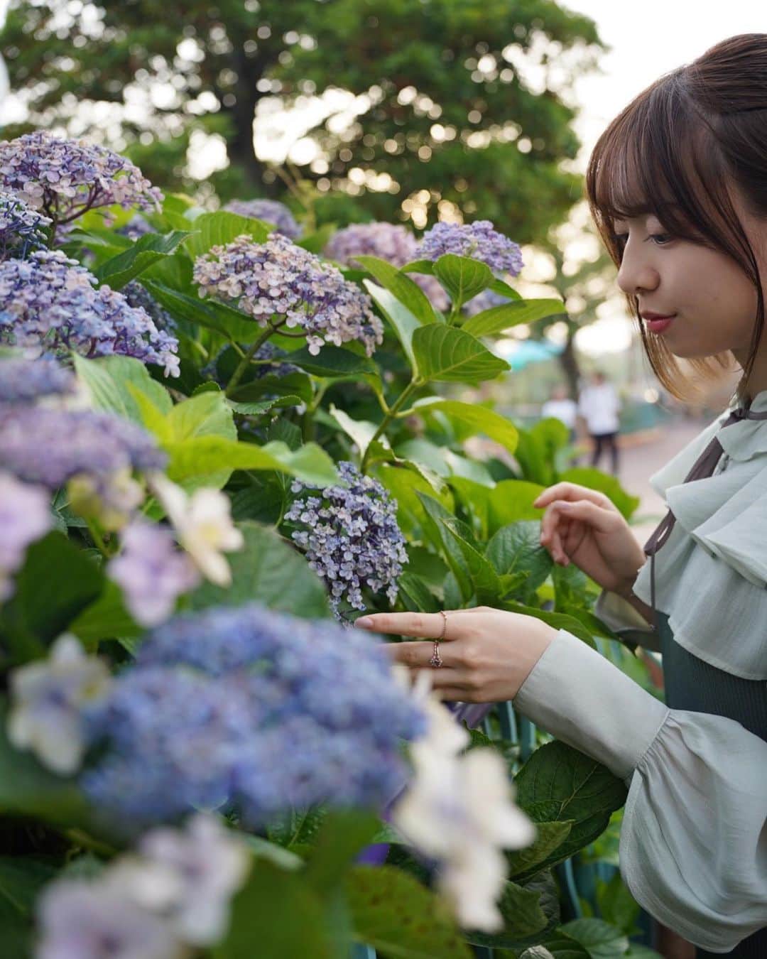 鈴木泉帆さんのインスタグラム写真 - (鈴木泉帆Instagram)「紫陽花の季節はとうに過ぎましたが 紫陽花の写真です🪻  ちなみに撮影地はディズニーシー」7月14日 21時23分 - mizuho__suzuki