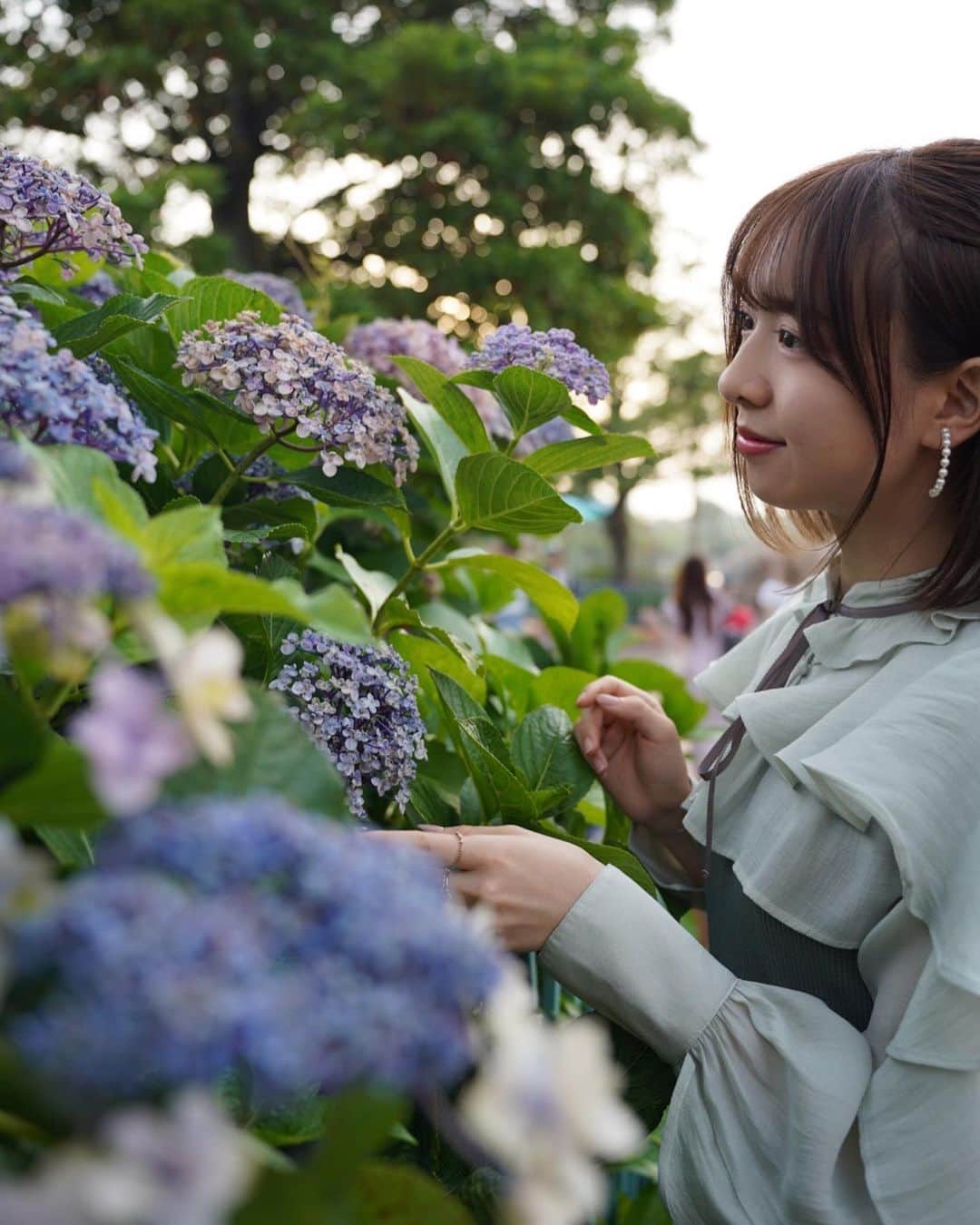 鈴木泉帆のインスタグラム：「紫陽花の季節はとうに過ぎましたが 紫陽花の写真です🪻  ちなみに撮影地はディズニーシー」
