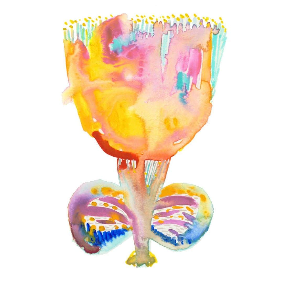 Boojilのインスタグラム：「brave girl / drawing flowers  わたしにはその人から放たれる色が見える。人によってその色は異なる。赤だったり、青だったり。最近仲良くなった女性は黄色だった。確実に言えるのは、黒と白のイメージを持つ人はいないということ。これまでたくさん似顔絵を描いたり、旅先で出逢った人と対話をした中で感じてきたこと。ちなみにわたしが放つ色は自分では見ることができないけれど、好きな色はビビッドピンクとインディゴブルー。隣り合わせにしたときのハレーションを見るだけで胸がときめく。 そのうち必要とするひとに、その人から放たれる色のイメージで一輪の花を描く機会をつくろうかと思う。  I can see the colors emanating from anyone. The color varies from person to person. I can say with certainty that no one has a black and white image. What I have felt while drawing many portraits and talking with people I met on my travels. By the way, I can't see the colors I emit, but my favorite colors are vivid pink and indigo blue. Just looking at the halation when they are placed next to each other makes my heart flutter.  #drawing #drawingflowers」