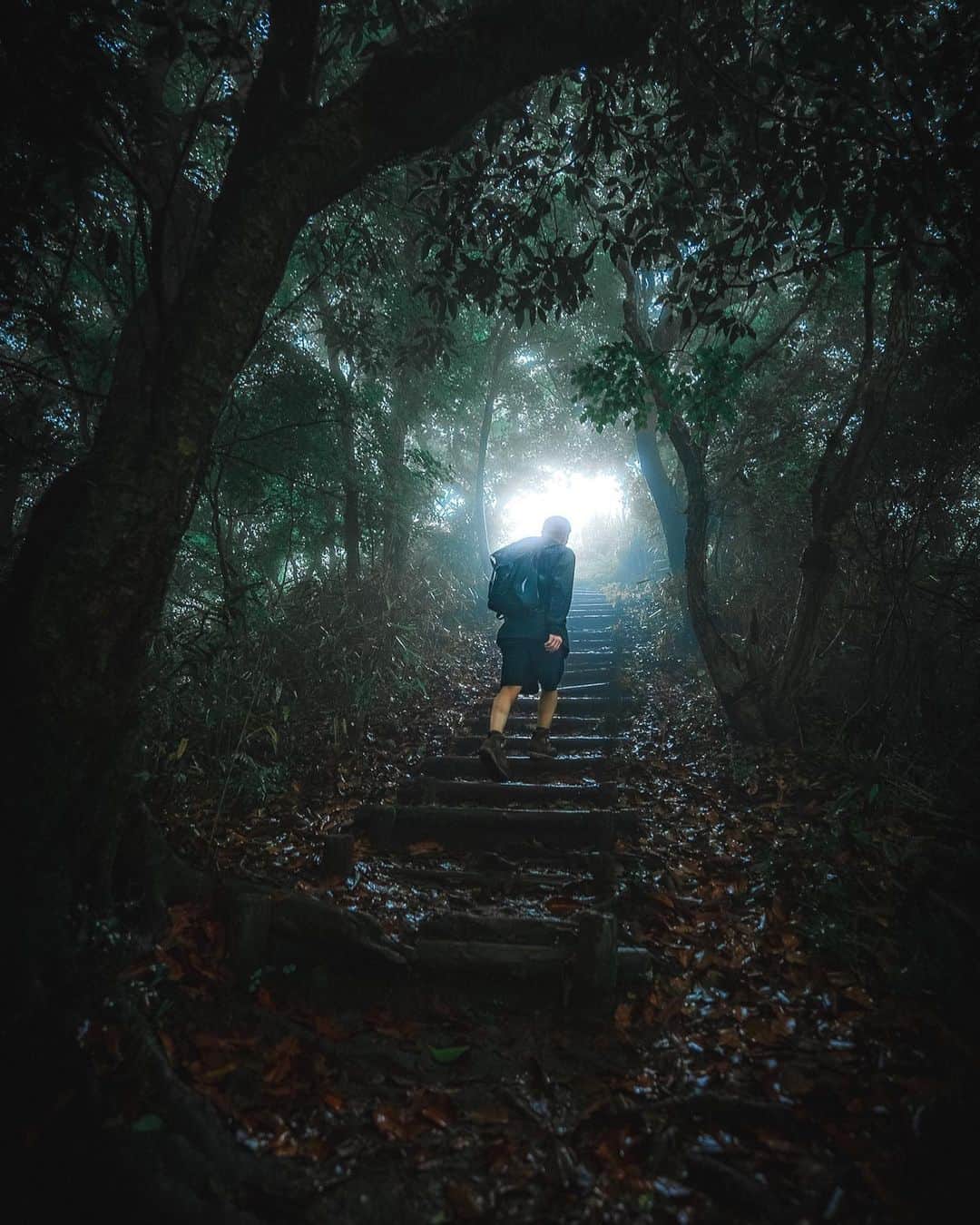 上西隆史（エアフットワークス）のインスタグラム：「Just like stepping into the light through the tunnel of trees.  木々のトンネルの出口から差し込む朝日は、とても幻想的なはずなのにどこか清々しいものを感じた。 この言語で表現では出来ない経験が自分を形作ってくれるんだと思う。 だから、自分は自然界に繰り出していくんだと思う。もちろんトレーニングの意味もあるけど。  Shot by @kou_lifegraph」
