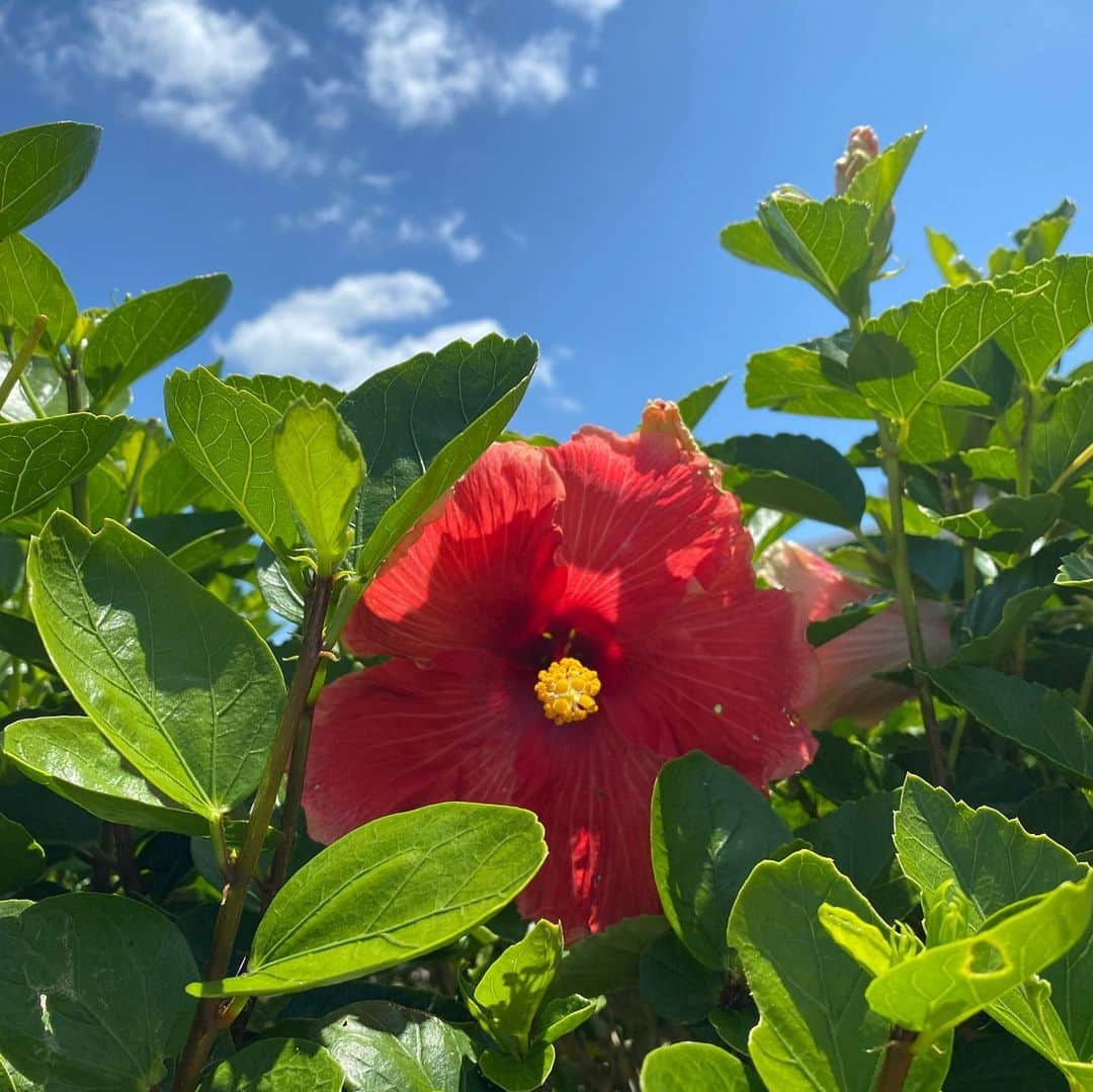 古瀬直輝さんのインスタグラム写真 - (古瀬直輝Instagram)「beautiful sunshine and wind🤣」7月14日 22時32分 - kosenaoki_