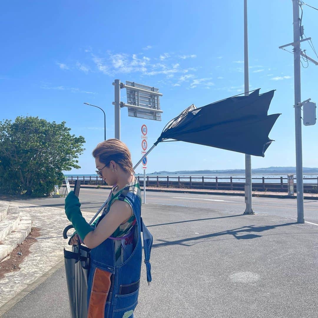 のインスタグラム：「beautiful sunshine and wind🤣」