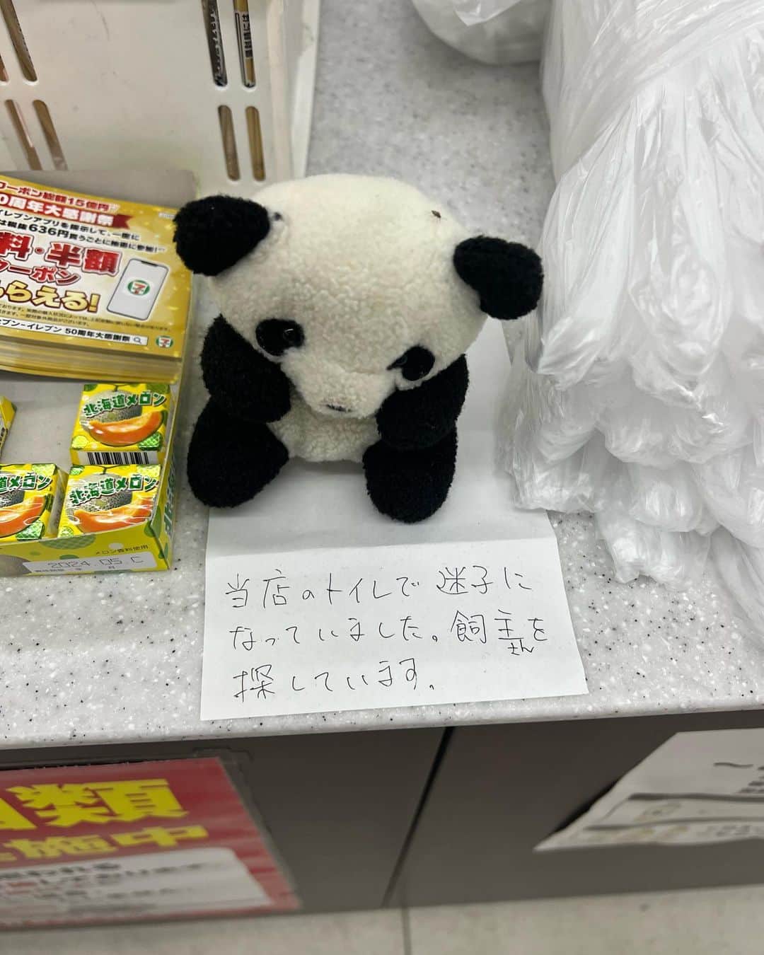 永井響のインスタグラム：「飼主さん早く迎えに、、🐼」