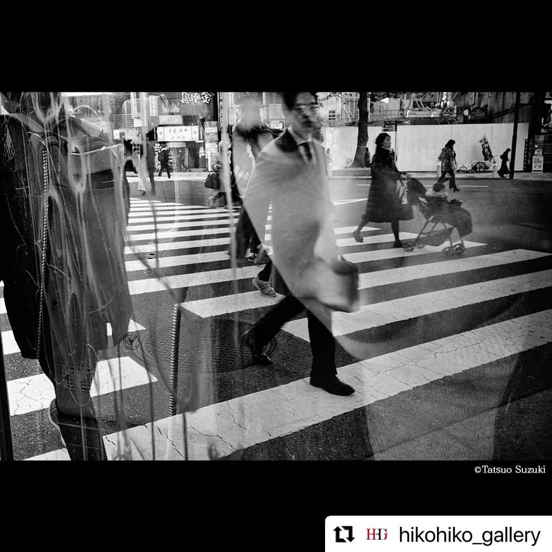 Tatsuo Suzukiのインスタグラム