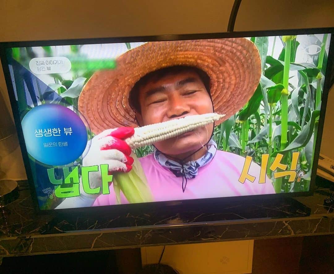 こーいちのインスタグラム：「韓国のテレビから流れる韓国語は分からんけど画的に面白そうなんは伝わる！ せやし俺らも明日の韓国ワンマンで来てくれる皆に何か伝えれるライブが出来るようにしっかりかます！ ヨボセヨ！」