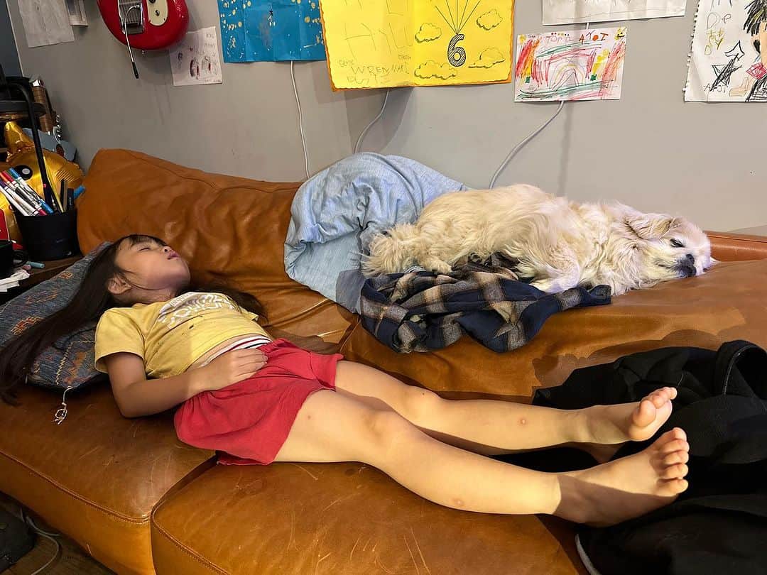 のインスタグラム：「2匹とも寝ました…」