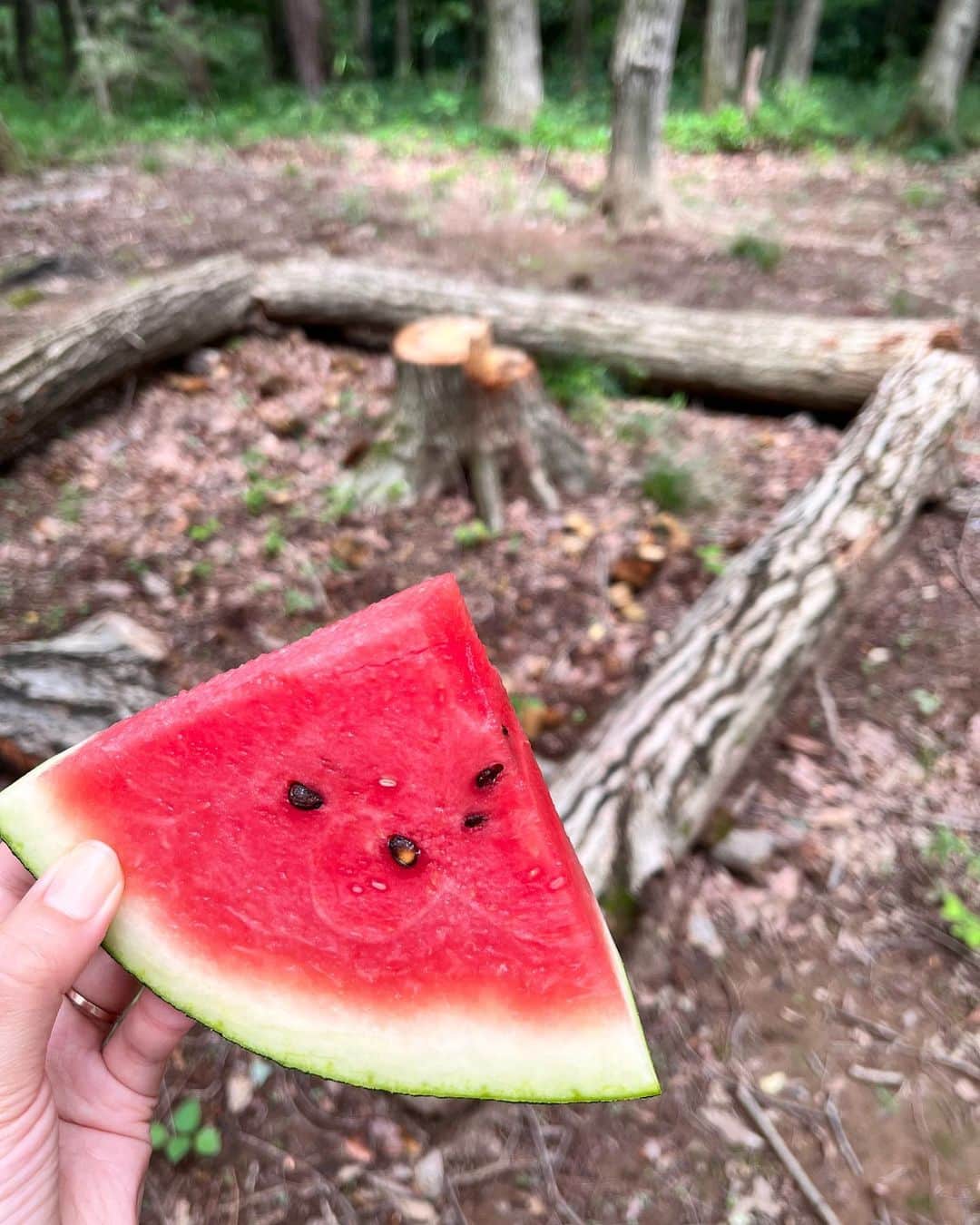 前田友香のインスタグラム：「おっととっと夏だぜ🍉☀️♪  心地よいお天気の中 夏いただきました✌️  #2023夏」