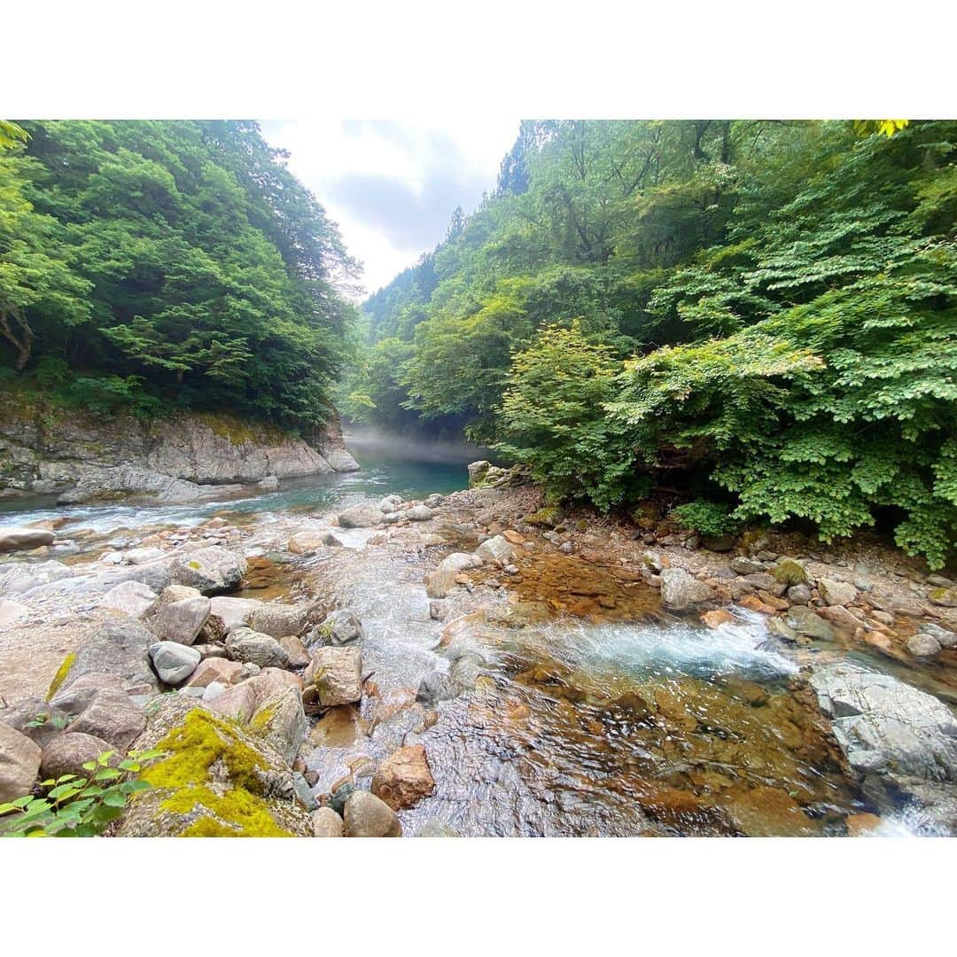 森夏美さんのインスタグラム写真 - (森夏美Instagram)「.  ソロキャンパー養成塾 シーズン6🏕 きょう15日（土）の19時に、 無料配信サービスロキポで先行配信はじまります！ （YouTubeは一週遅れで配信🌟）  透明感のあるエメラルドグリーンが美しい、 岐阜県の板取川へ🌿  水面に浮いているような不思議な写真、 合成に見えますよね！？でも、違うんですよーーっ🤭  配信ぜひご覧ください🤍  #さばいどる🏝かほなん #キャンプ女子  #ソロキャンパー #岐阜キャンプ #板取川  #東海テレビ #アナウンサー #森夏美」7月15日 12時23分 - mori_natsumi0722