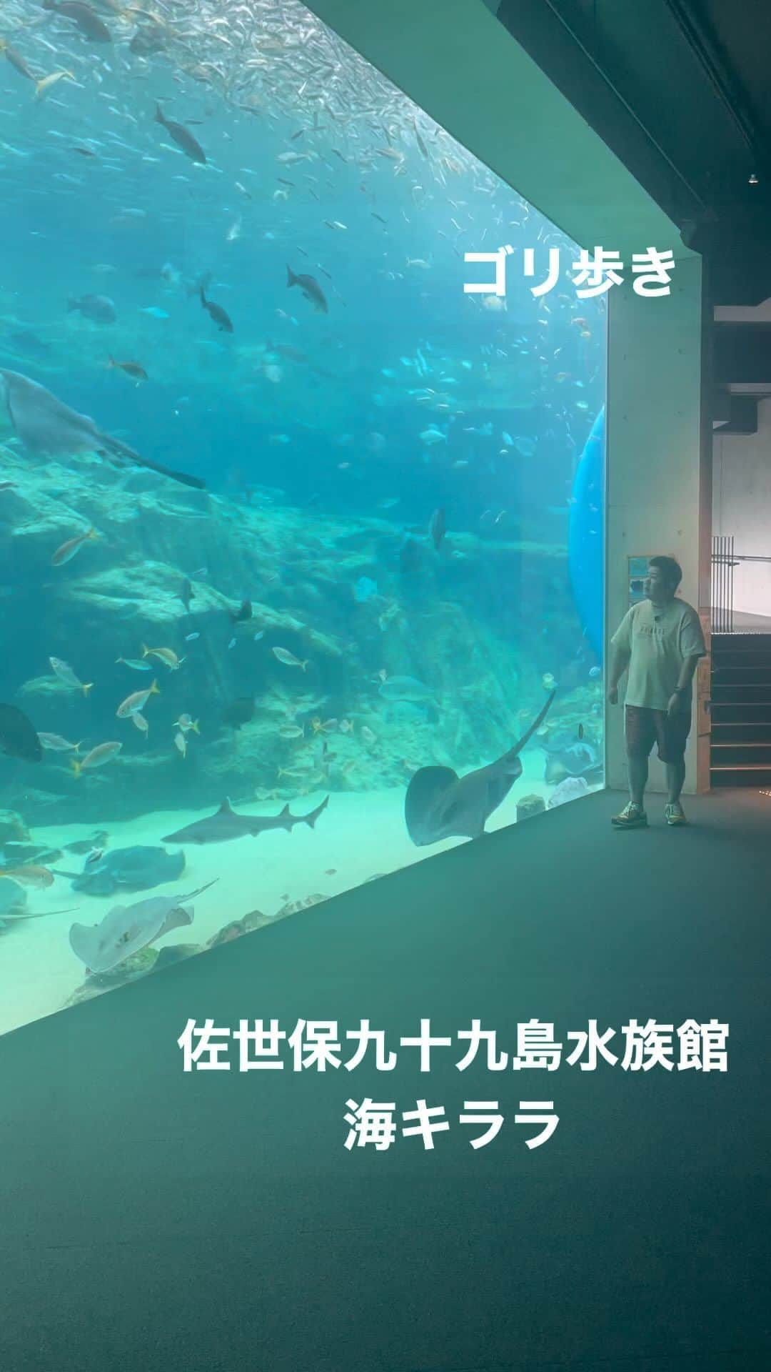 ゴリけんのインスタグラム：「ゴリ歩き  長崎は佐世保  海キララ イルカのキャッチボールが 有名な所ですね。  夏の水族館涼しくて好きです  #ゴリ歩き #海キララ」