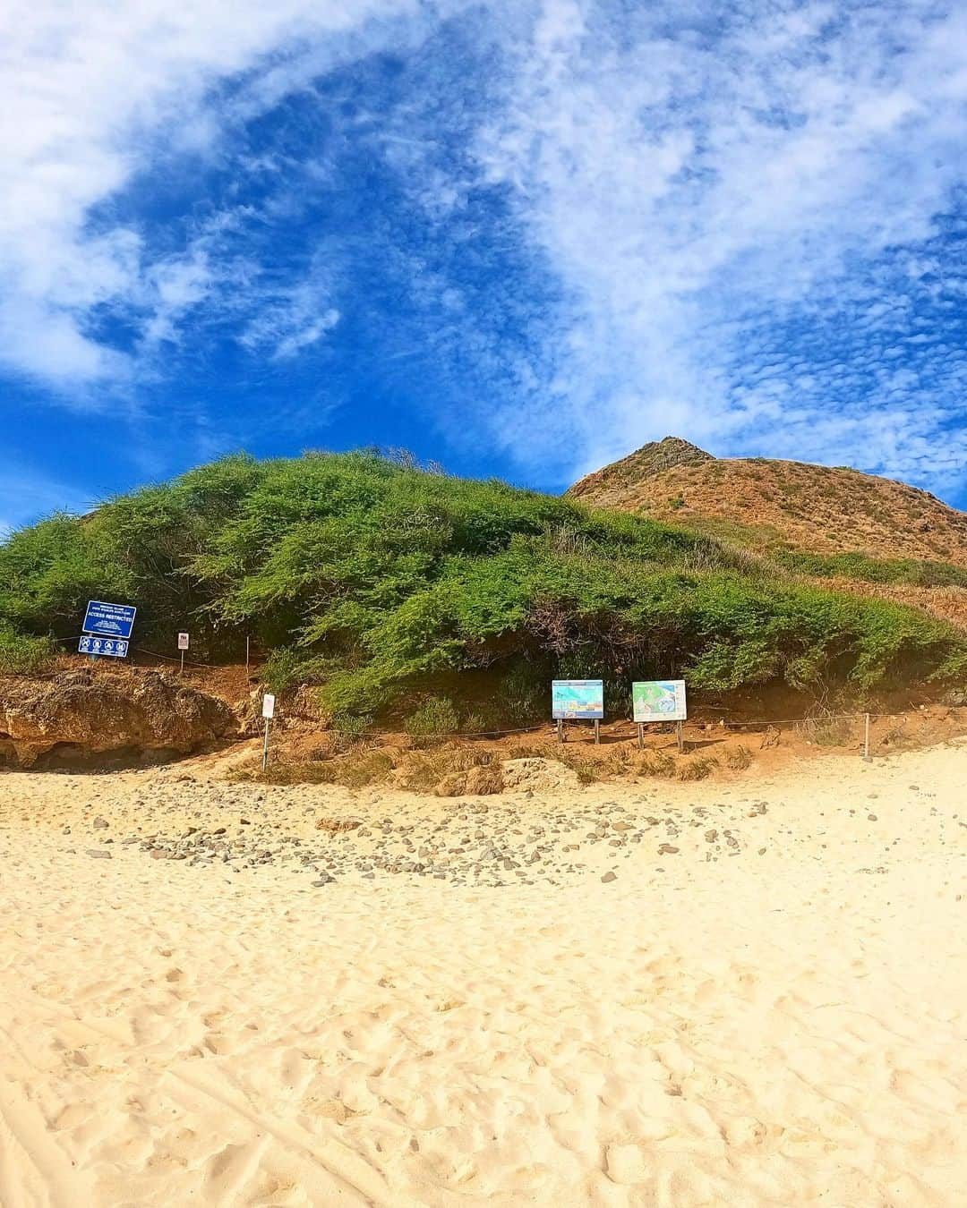 shihoさんのインスタグラム写真 - (shihoInstagram)「💙🩵🌊🩵💙 ・ 📍Mokulua Islands ・ #hawaii#islandofoahu#oahu#ハワイ#trip #オアフ島#travel#loco_hawaii#travel_jp #funtorip#タビジョ#旅MUSE#genic_travel #genic_mag#たびねす#旅行#genic_hawaii #mokuluaislands#カイルア#ocean#beach #kailua#sea#lanikaibeach#lanikai#oahuhawaii #tabijyomap_hawaii#lealeahawaii#2023」7月15日 11時33分 - shiho.ga8