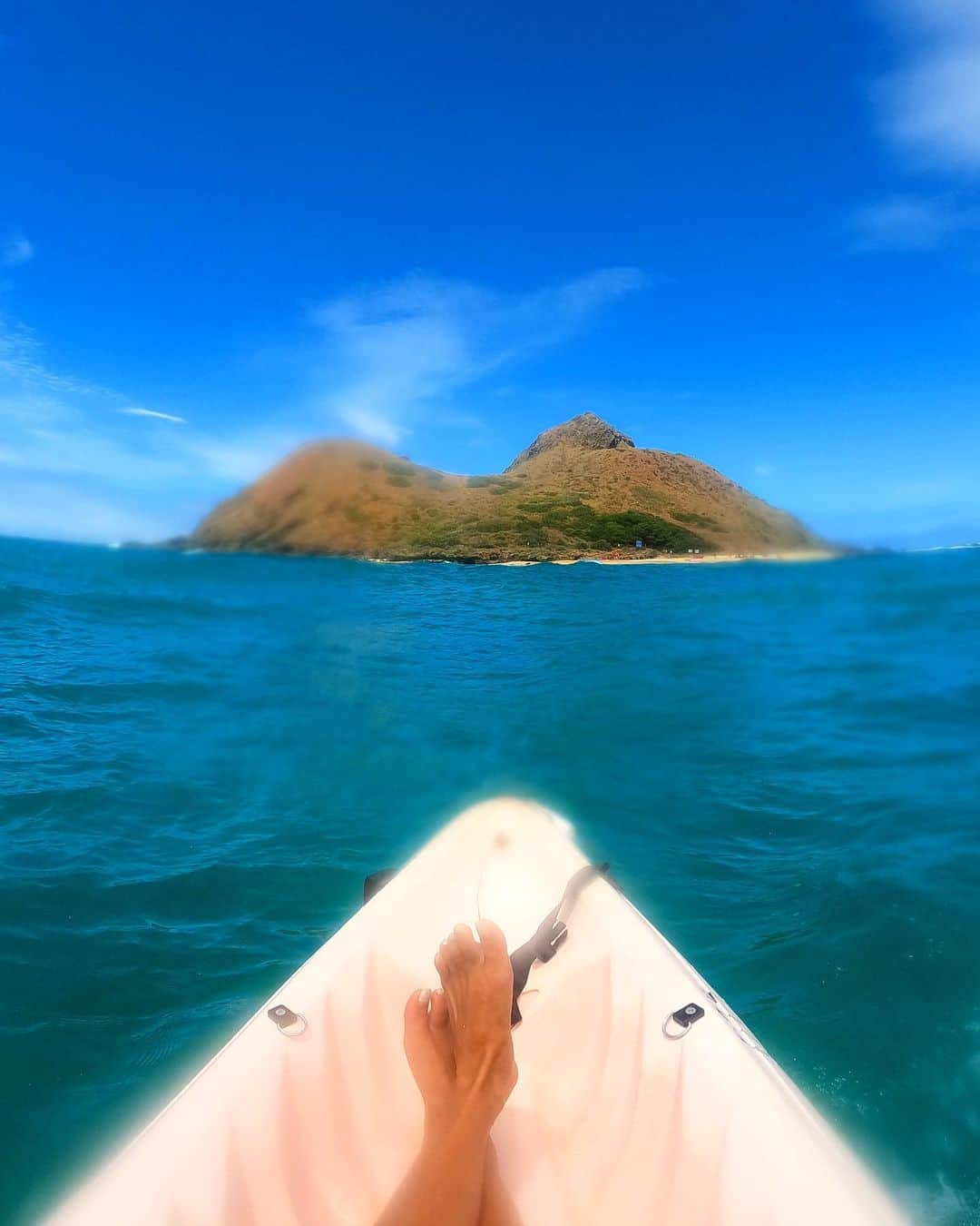 shihoのインスタグラム：「💙🩵🌊🩵💙 ・ 📍Mokulua Islands ・ #hawaii#islandofoahu#oahu#ハワイ#trip #オアフ島#travel#loco_hawaii#travel_jp #funtorip#タビジョ#旅MUSE#genic_travel #genic_mag#たびねす#旅行#genic_hawaii #mokuluaislands#カイルア#ocean#beach #kailua#sea#lanikaibeach#lanikai#oahuhawaii #tabijyomap_hawaii#lealeahawaii#2023」