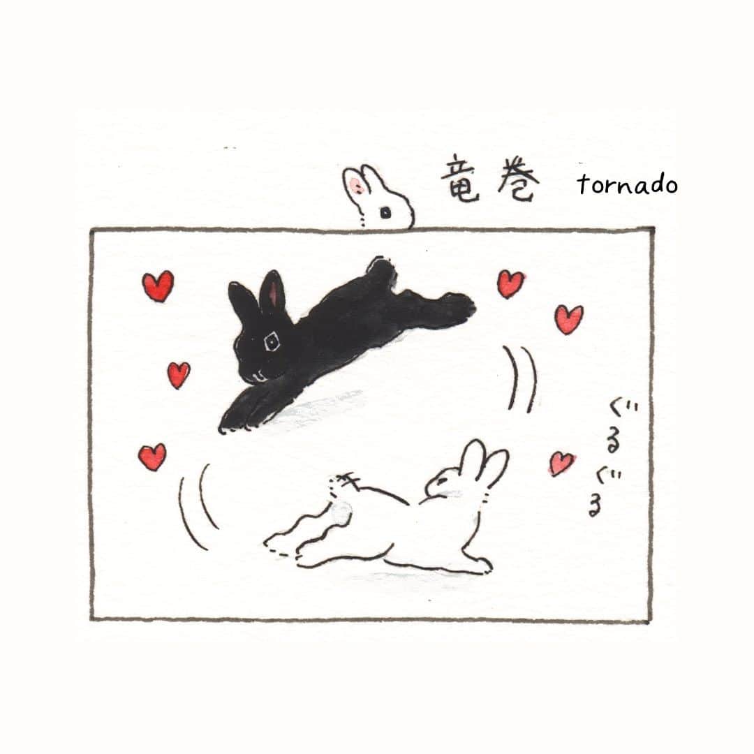 森山標子(しなこ)/Schinakoのインスタグラム：「Tornado🐇🐇 竜巻🌪💕」